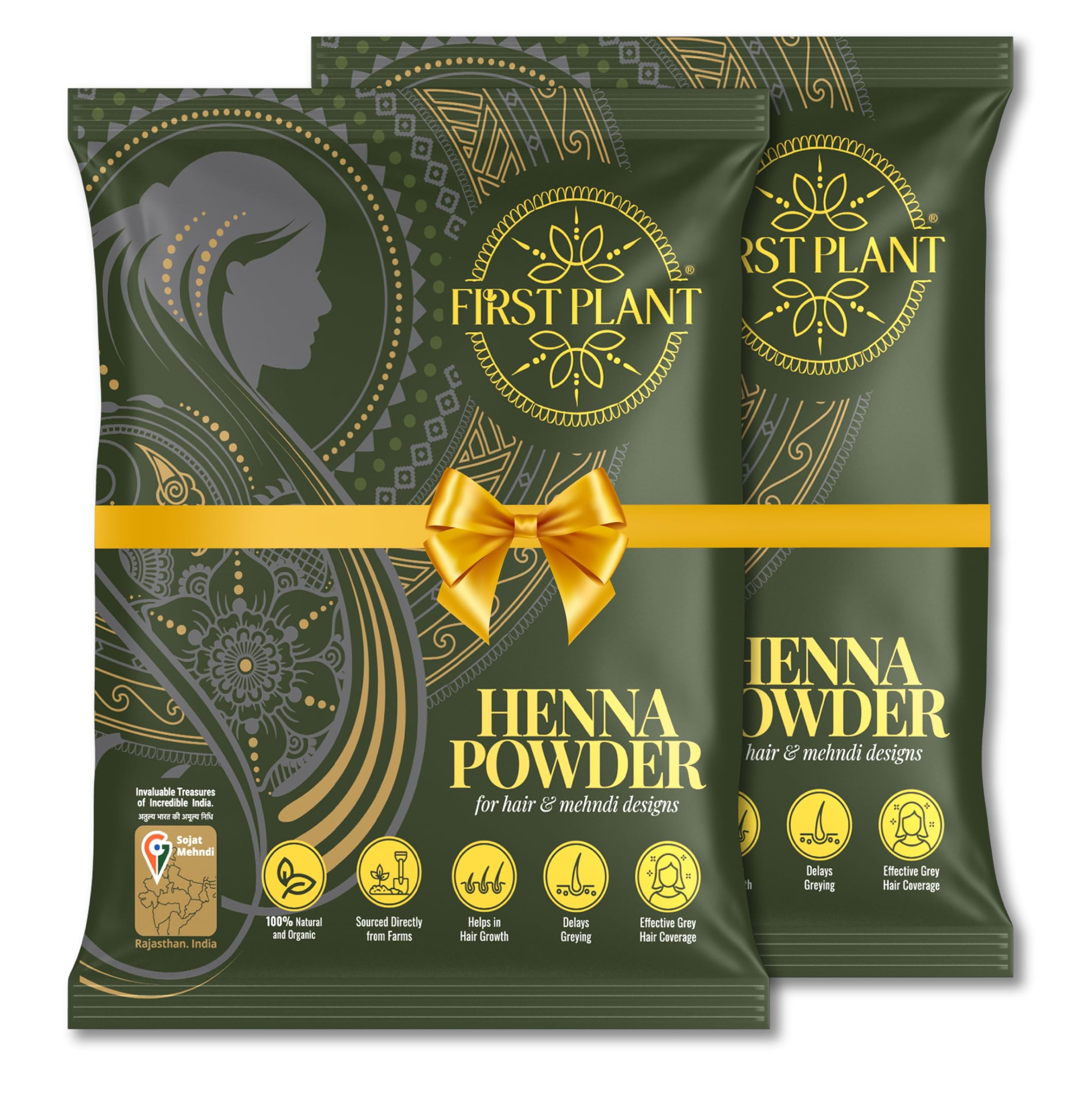 FIRST PLANT - Premium Rajasthani HENNA POWDER, 100% ORGANIC Henna with GI Tag for Hair Colour and Hair Care (2x75gm)-picture-35