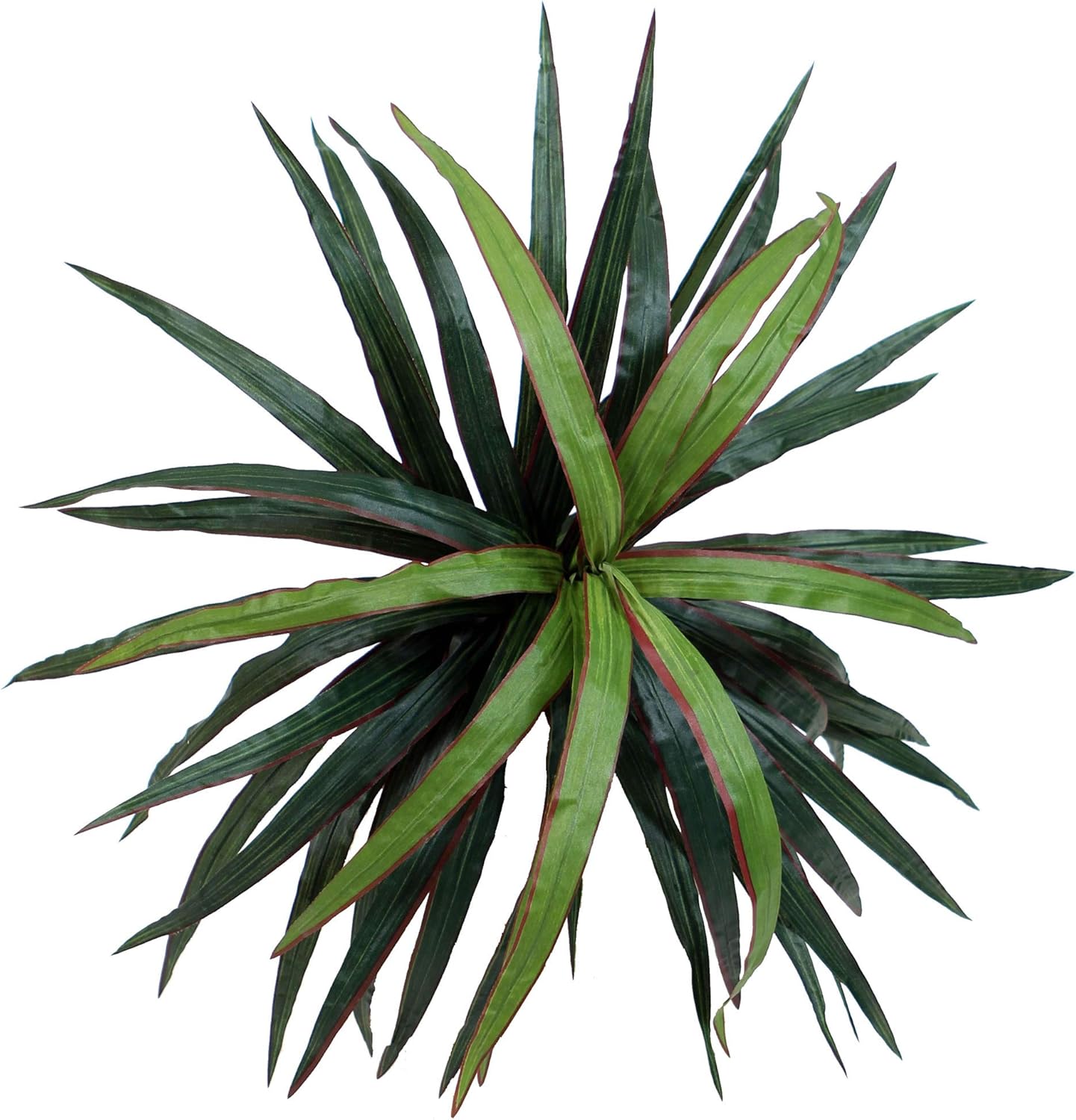 Vickerman Artificial Marginata Deluxe Tree, 6.5'