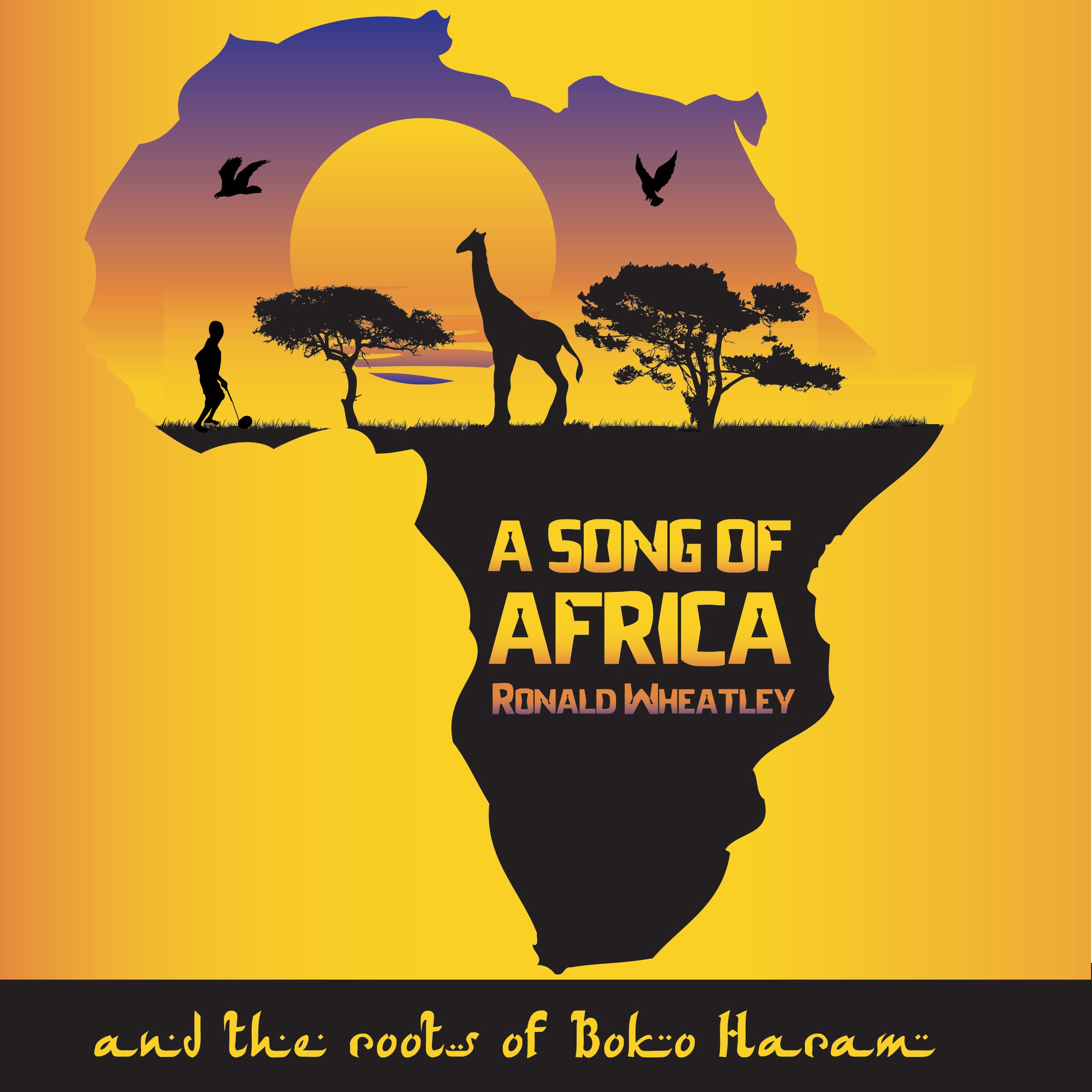 Cover art for A Song of Africa: The Roots of Boko Haram