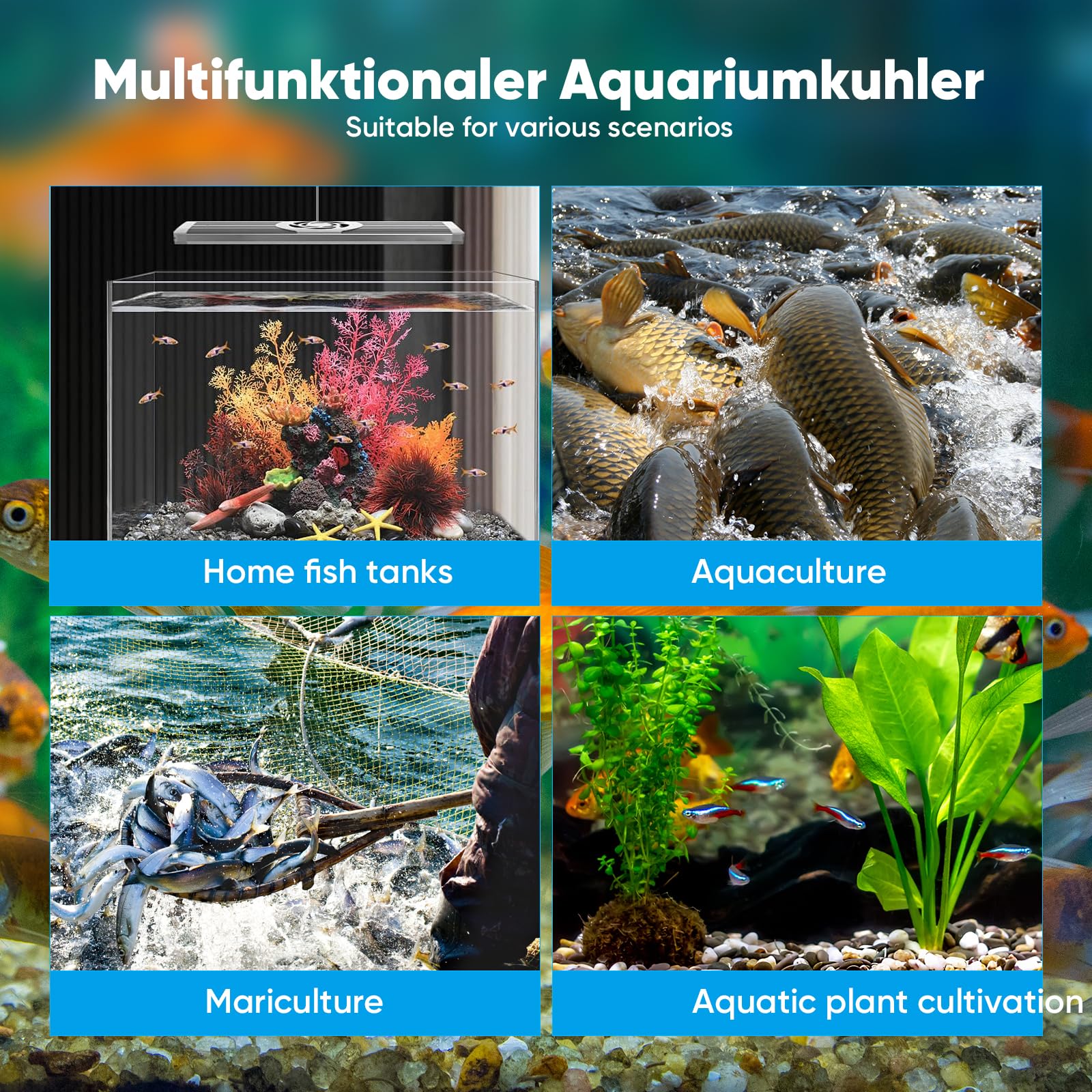 Enfriador Acuario Enfriador de Agua para Acuario 160L Sistema de refrigeración para peceras,para hidroponía,Vida acuática y peceras