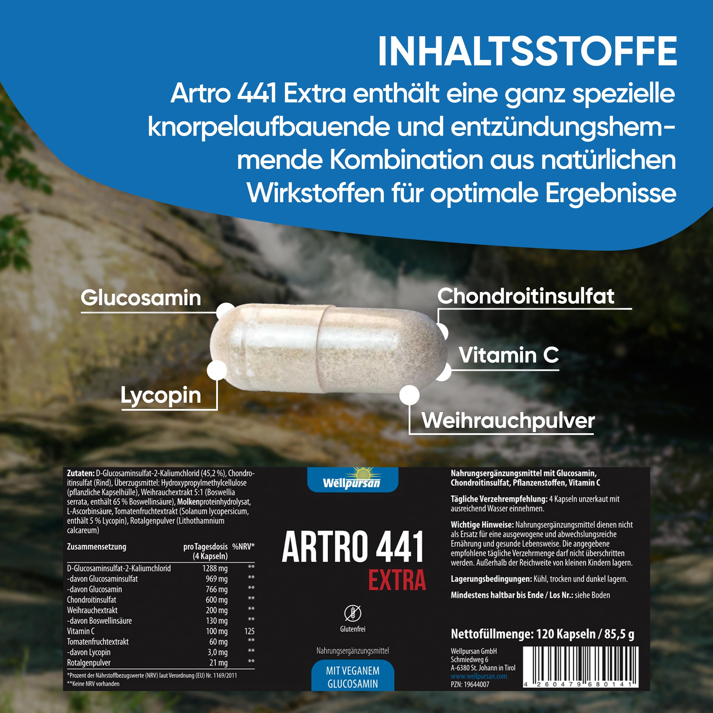 Wellpursan Artro 441 Extra Kapseln (3 x 120 Arthrose Kapseln) – Natürliche Unterstützung bei Gelenkschmerzen und Arthrose
