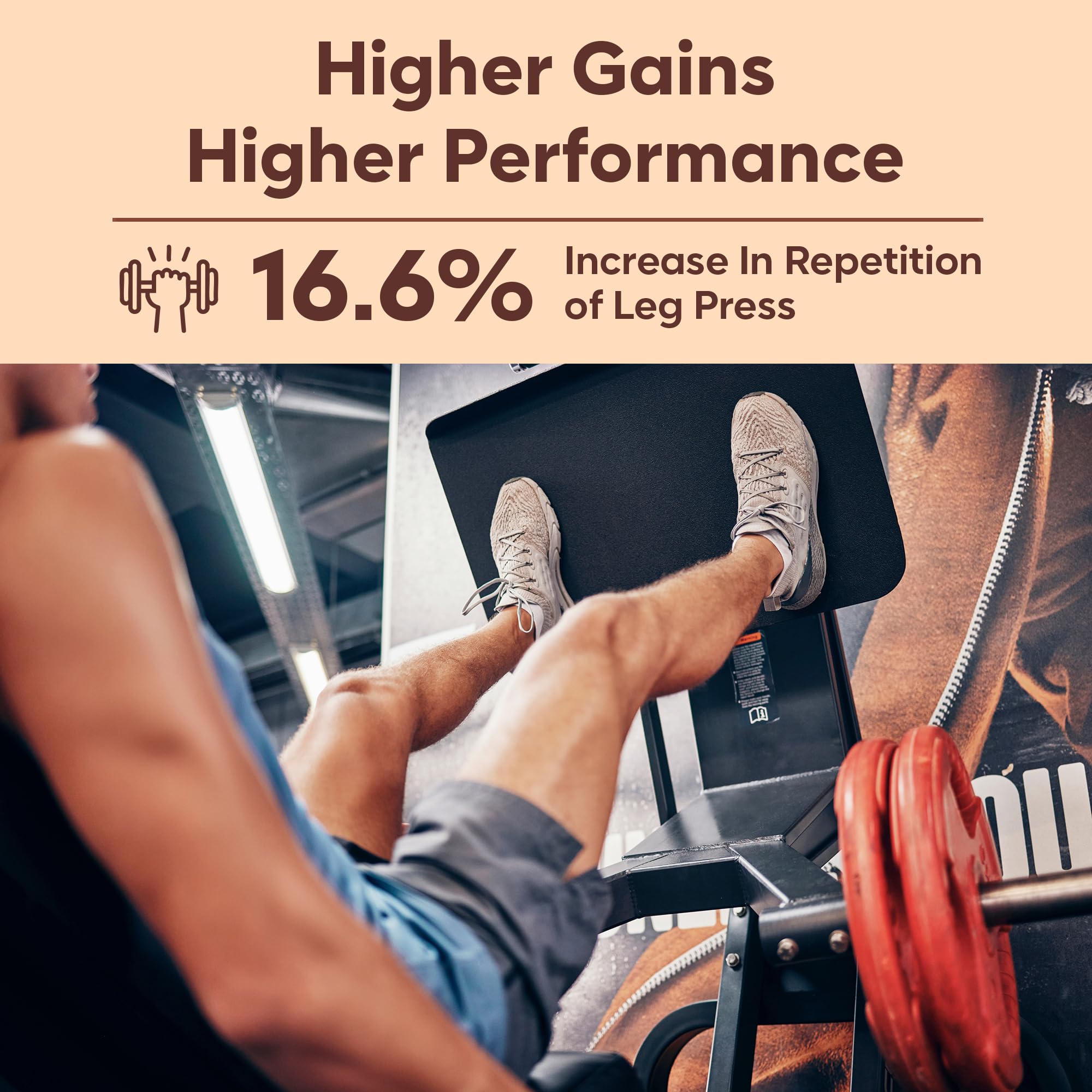 Foodstrong Next-Gen Whey Protein Isolate + Concentrate, 100% Hormone Free Grass-Fed Whey, 26G Protein, Chocolate (Cacao), With Turmeric, Probiotics & Natural Digestive Enzymes For Easy Digestion, Single Serve Sachet, 35G 2