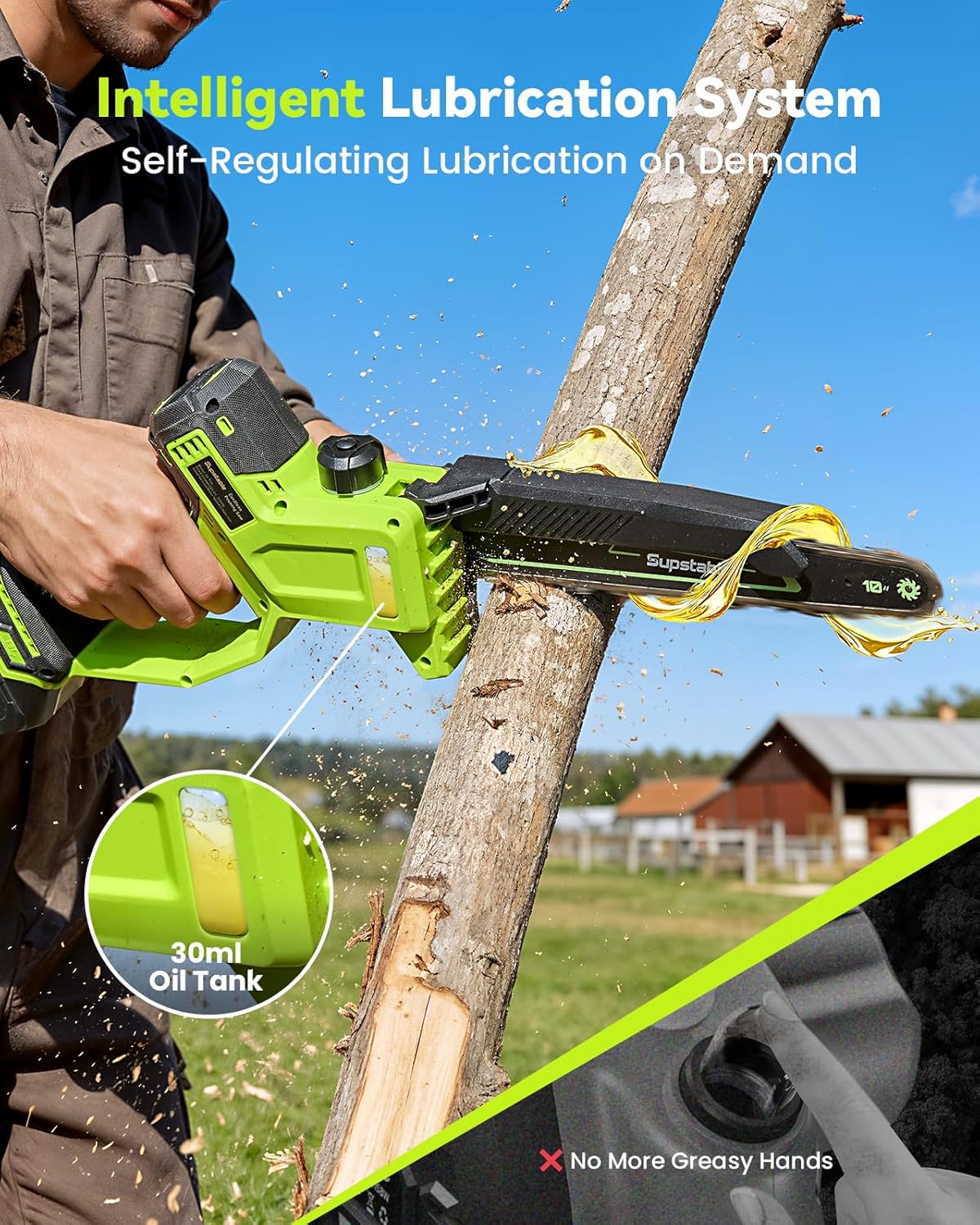 10 Inch Electric Pole Saws for Tree Trimming, 1000W Brushless Pole Saw and Mini Chainsaw 2 in 1, 2*4000mAh Battery, Lightweight Tree Saw with Extension Pole, 16Ft Max Reach Tree Trimmer Branch Cutter