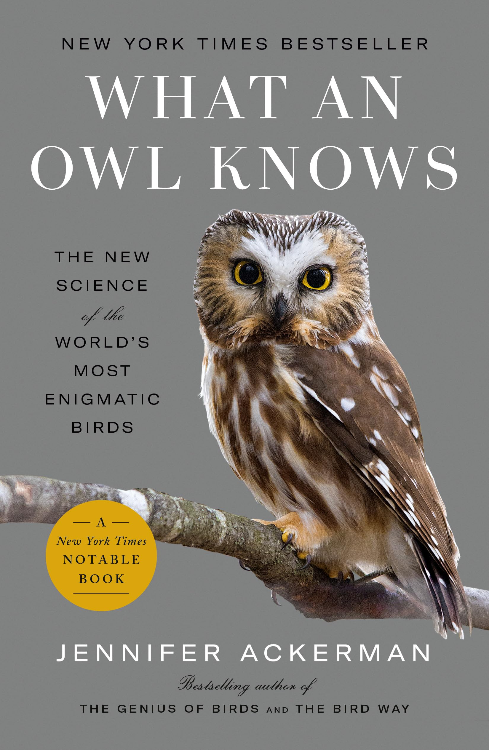 英語版　1976年発行　A closer Look at BIRDS 英語版 1976年発行 A closer Look at BIRDS 英語版1976年発行A