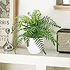 Product Photo 7