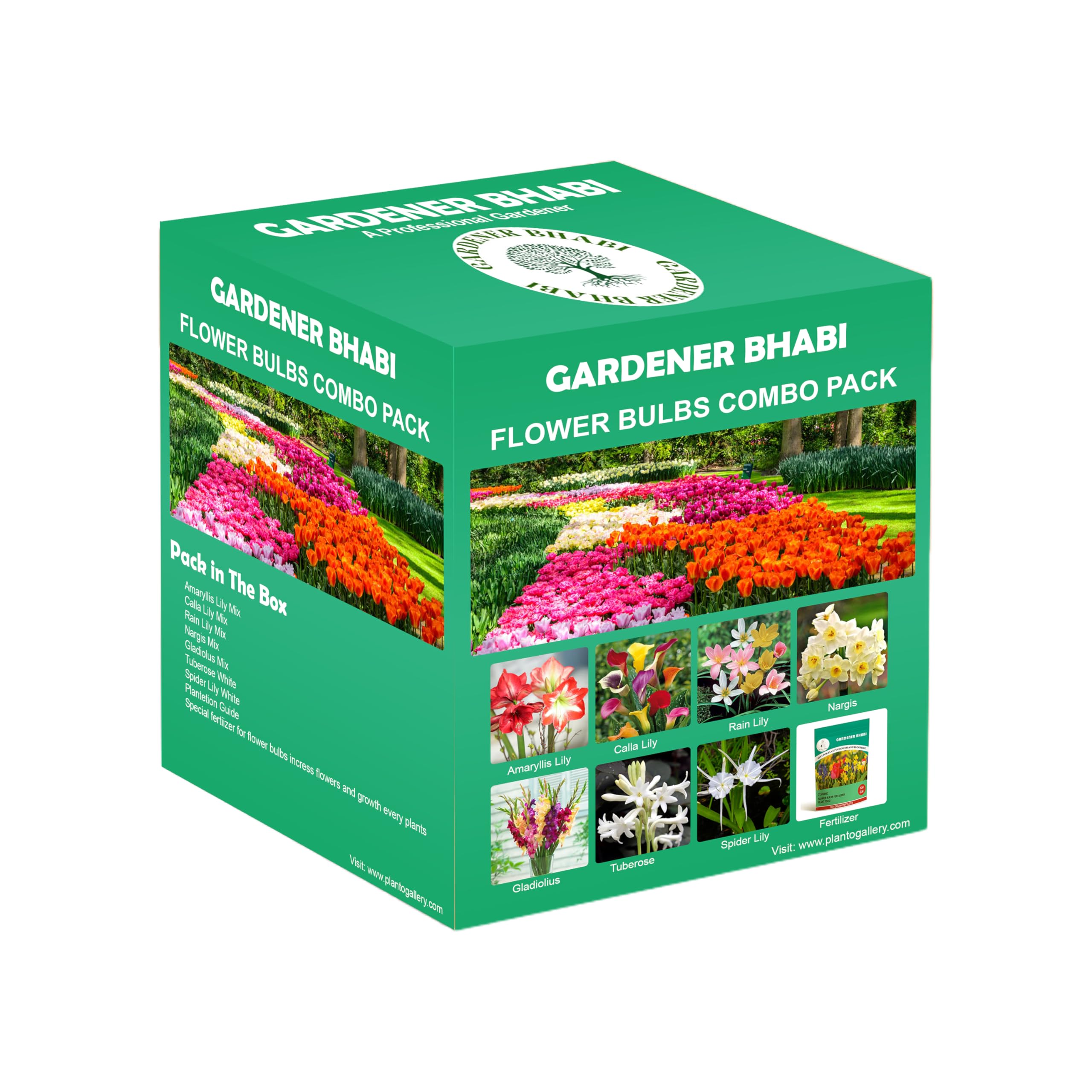 Gardener Bhabi Flower Bulbs combo Pack Suitable for Your Own Garden