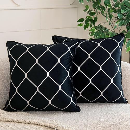 WACOMECO Fundas de almohada plateadas, paquete de 2 fundas de cojín decorativas de terciopelo suave para sofá, decoración del hogar, color negro, 20