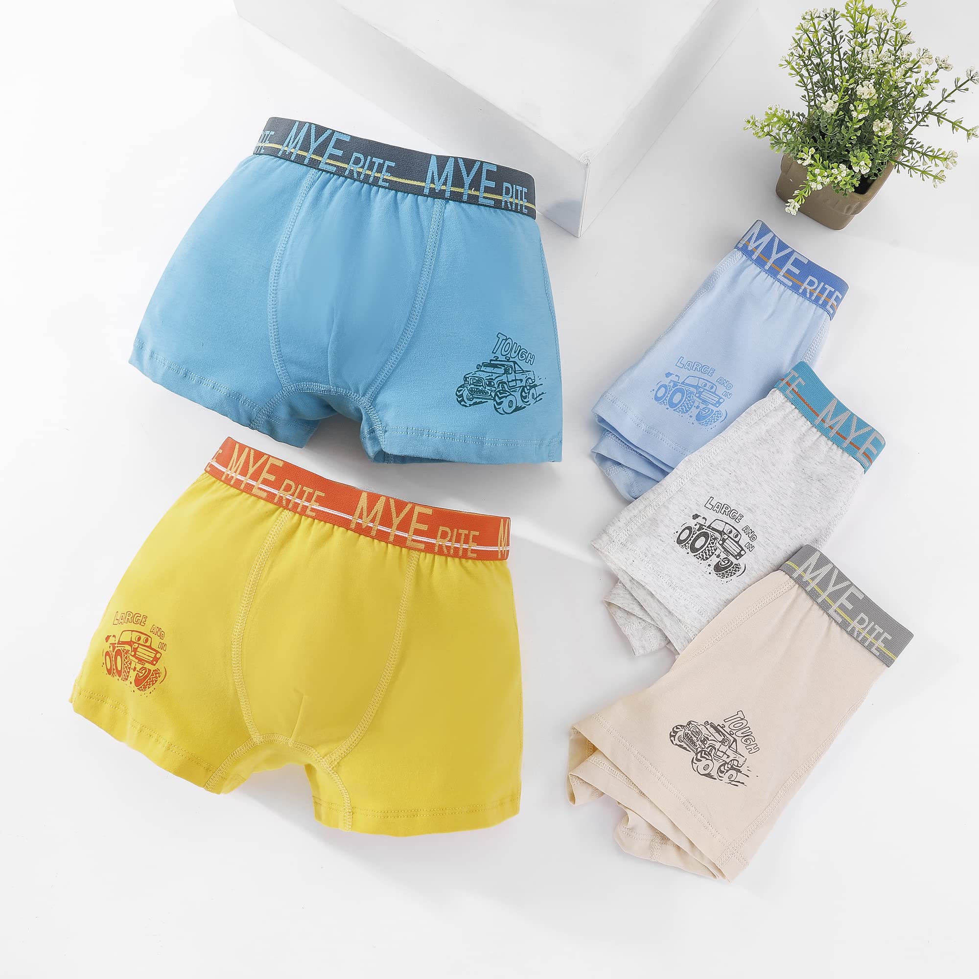 Little Hand Bokserki Briefs Chłopcy Bokserki chłopięce bielizna dziecięca 5 sztuk