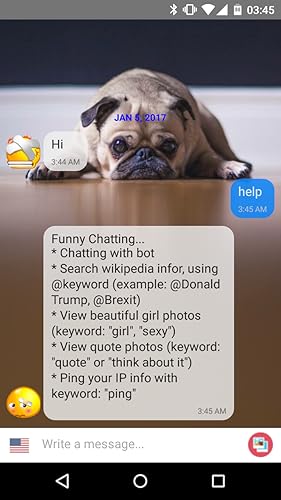 Sumi Chat - Cutest Talking Chatbot