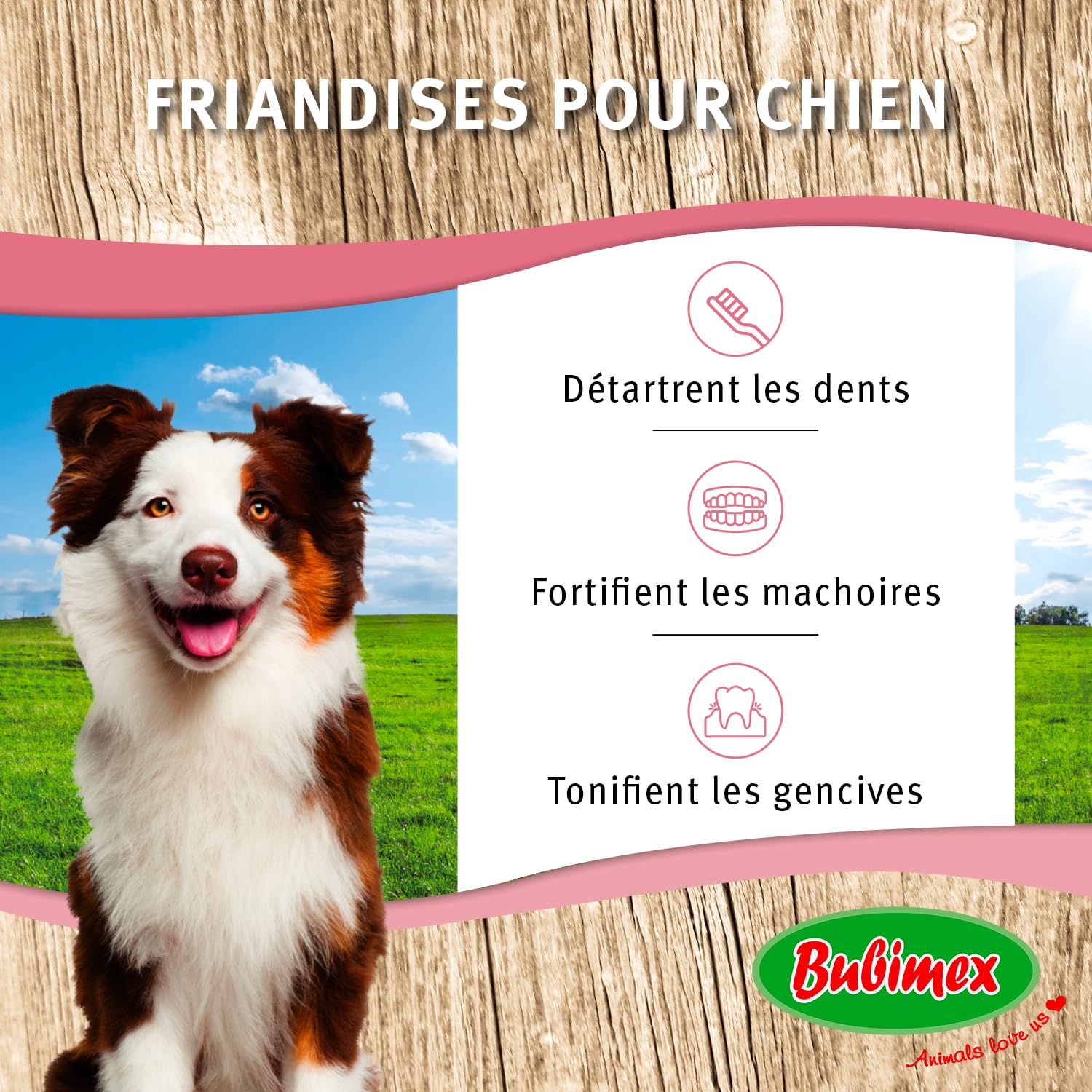 BUBIMEX – Orejas de Cerdo – Dulces masticables para Perros – Promueve la higiene bucal – 100% Naturales – Ricas en proteínas, 50 Unidades – 2 kg