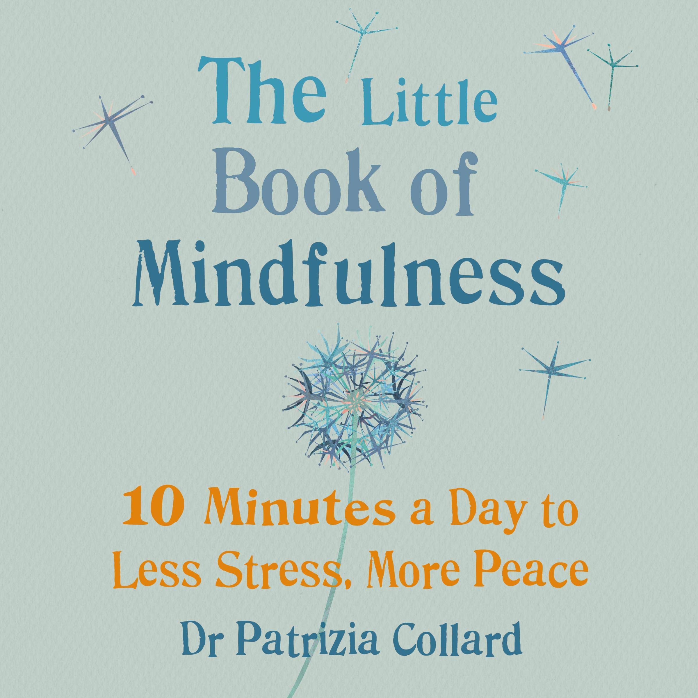 Cover art for The Little Book of Mindfulness