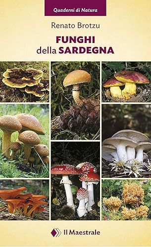 Funghi della Sardegna. Ediz. illustrata