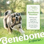 Benebone Wishbone Jouet à mâcher de chien durable pour les brochettes agressives, véritable bacon, fabriqué en USA, Moyenne