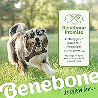 Vista 6 de Benebone Wishbone - Juguete masticable duradero para perros para masticadores agresivos, fabricado en Estados Unidos, pequeño, sabor a tocino real