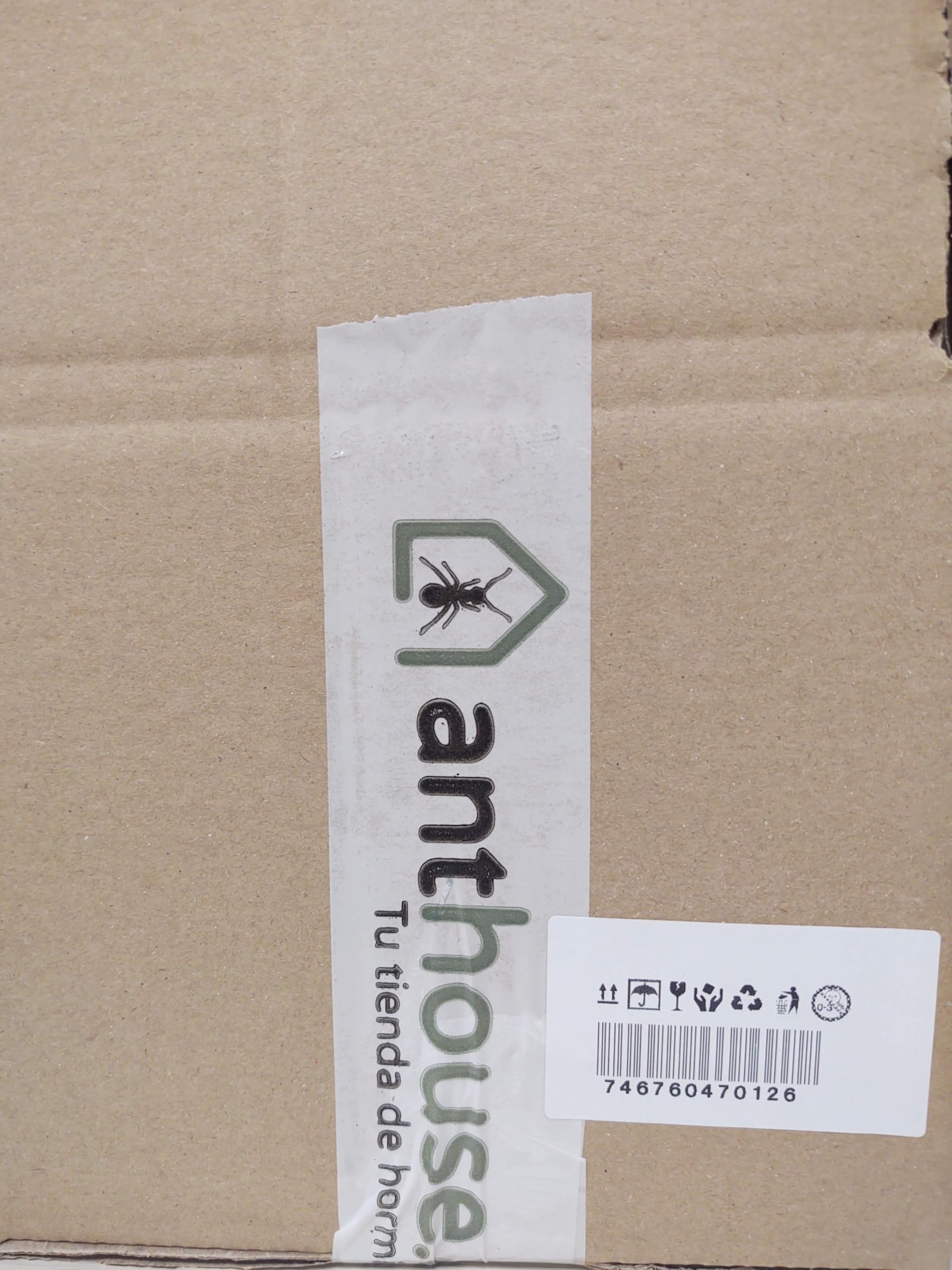 Anthouse - Jarabe para Hormigas - Néctar Alimenticio para Hormigas