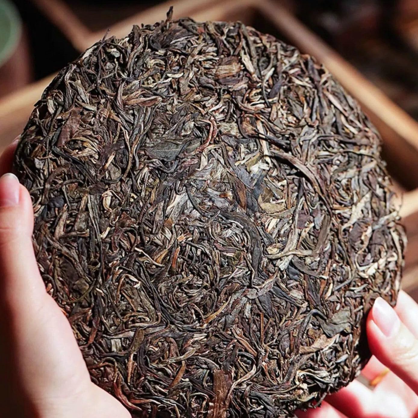 2012 Yiwu Bohe Tang Single Plant Raw Pu-erh Tea Cake, 357g, from Yunnan