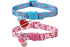 Celebrate Your Valentine's Day with BoomBone's Breakaway Cat Collars