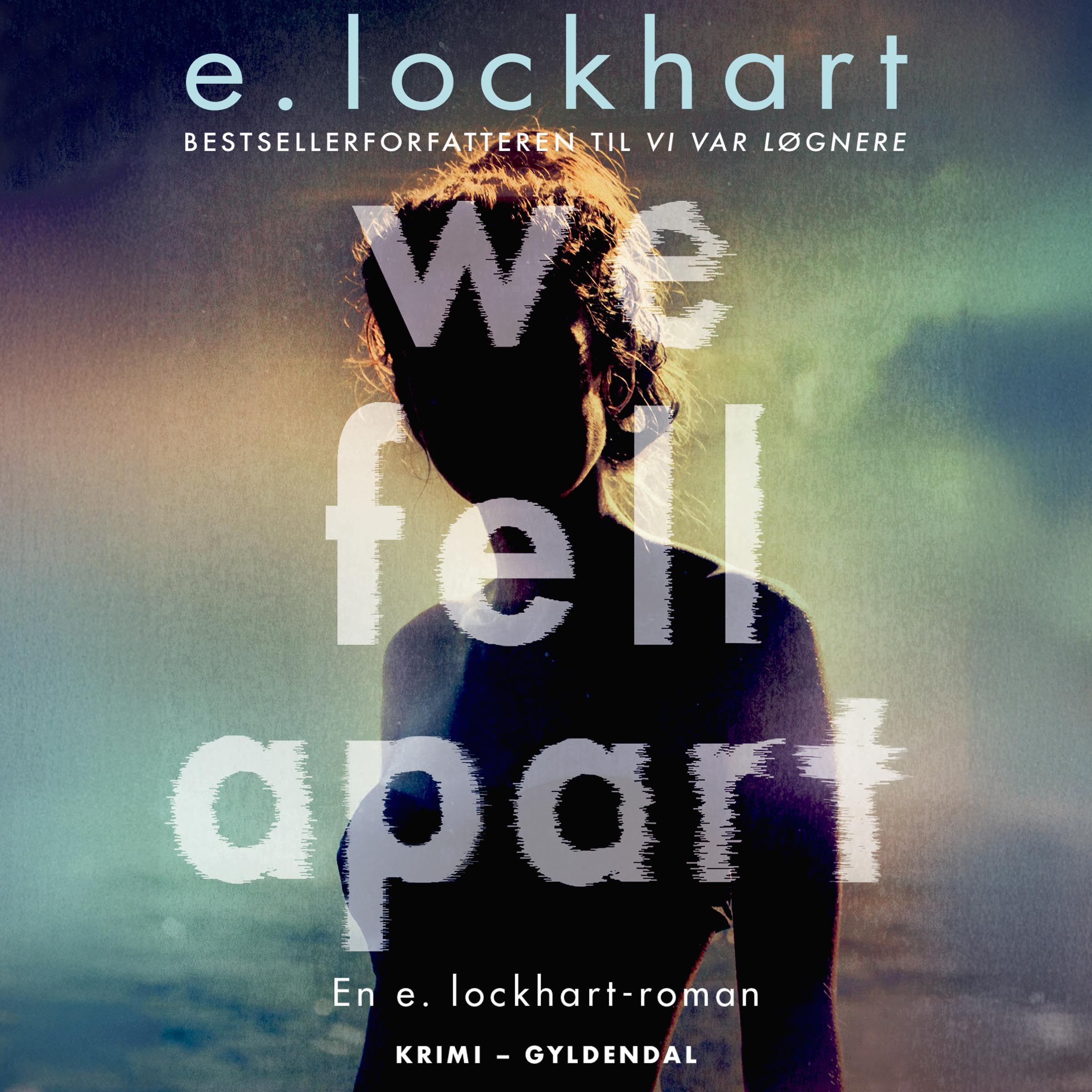 We Fell Apart (Danish Edition)