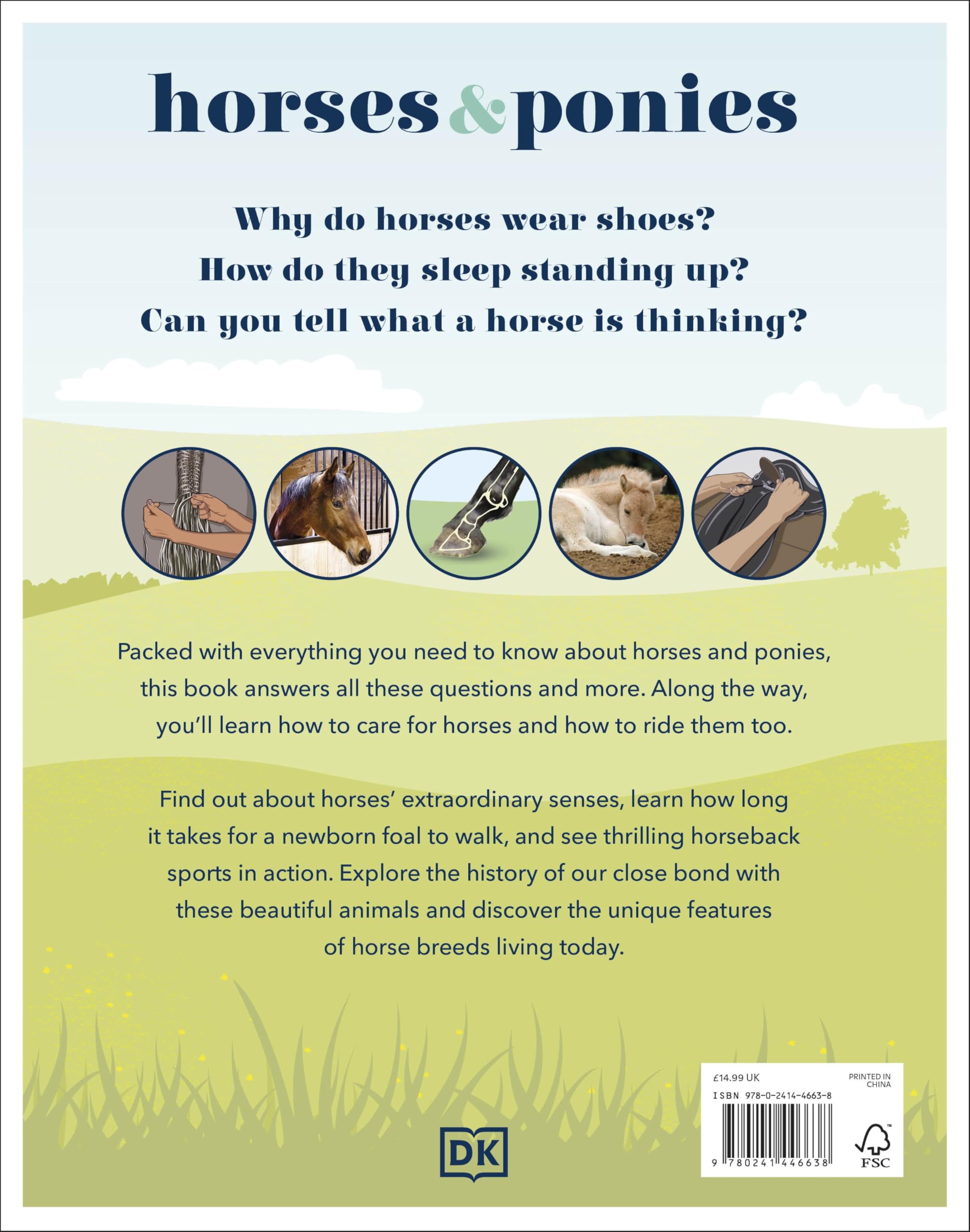 Horses & Ponies: Everything You Need to Know, From Bridles and Breeds to Jodhpurs and Jumping!