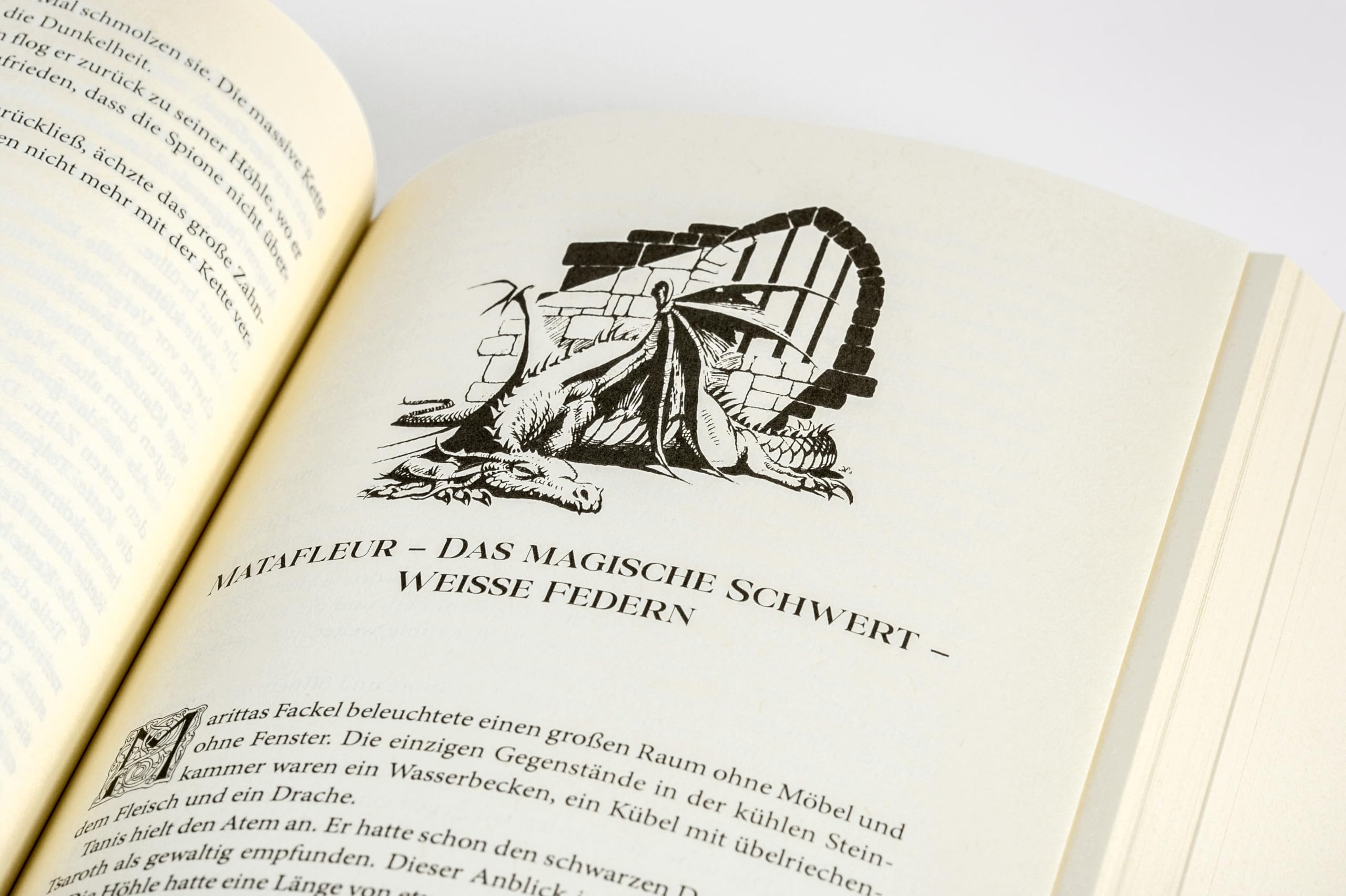 Die Chronik der Drachenlanze: Roman - Die komplette Trilogie in einem Band als prächtig veredeltes Hardcover (Die große Drachenlanze-Schmuckausgabe, Band 1)