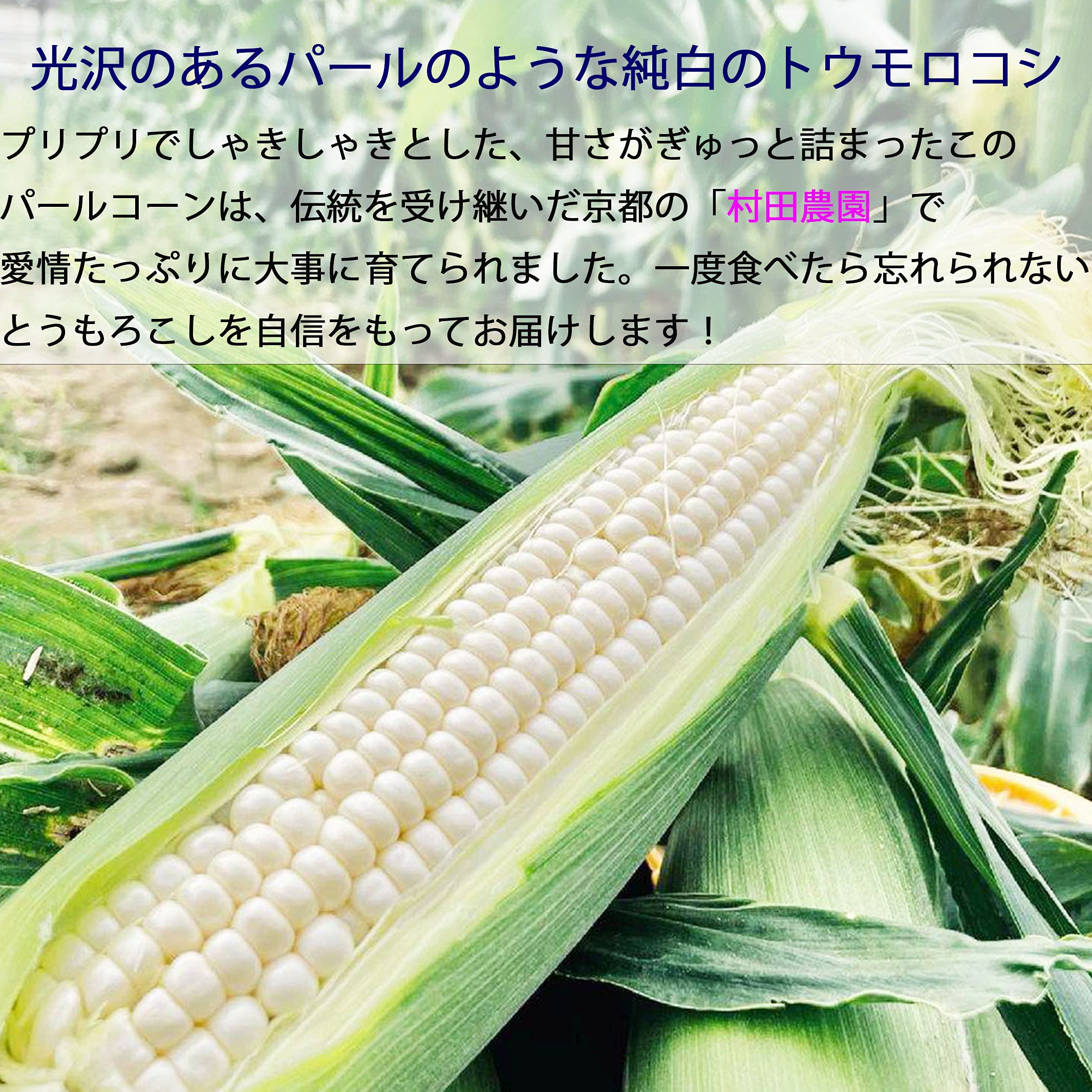 京都のパールコーン入荷です Amazon.co.jp: 京都産 村田農園 パールコーン 6本入り / 生で