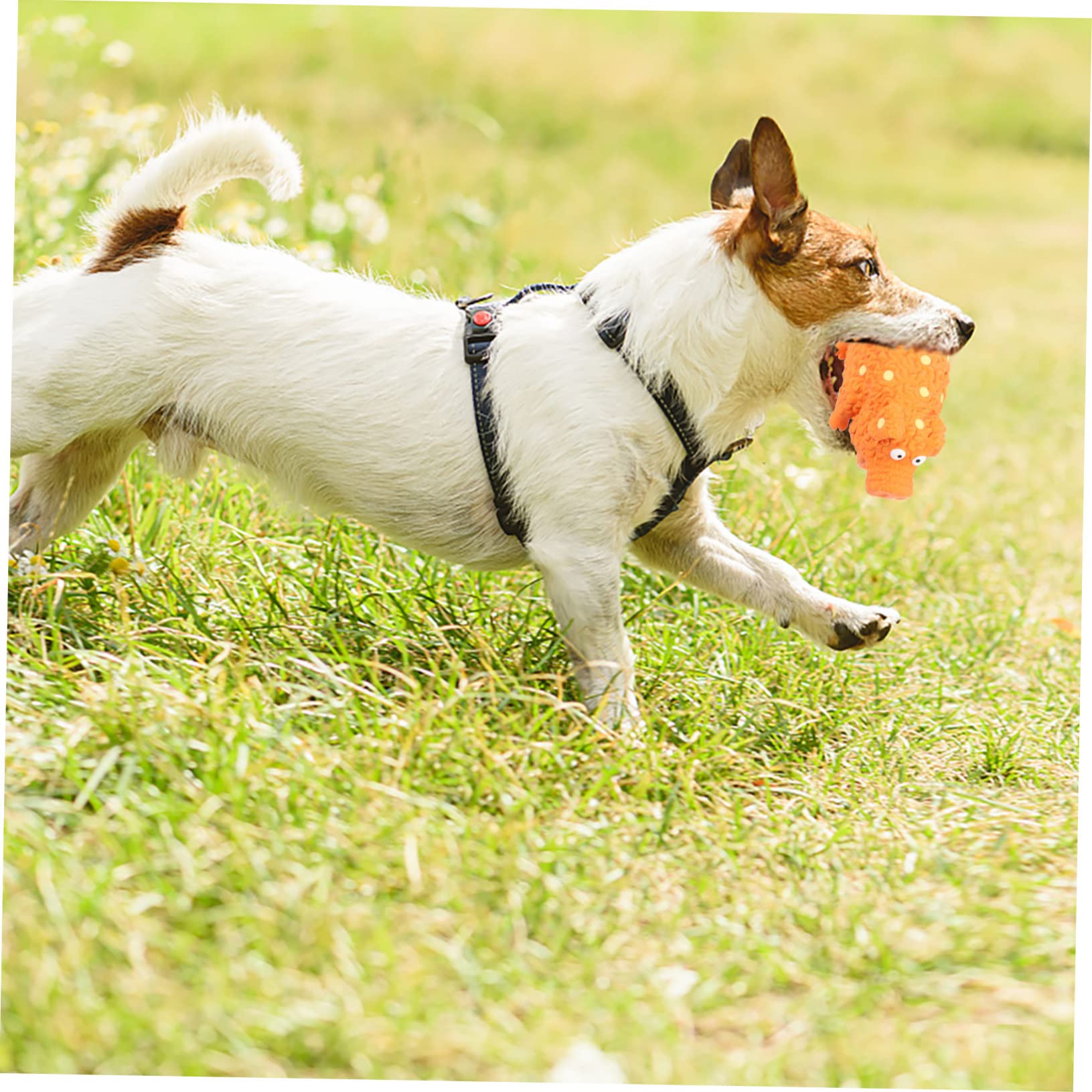 Housoutil Cachorro 4 Piezas De Juguete para Mascotas Juguetes para Cachorros Juguetes para Mascotas Juguete para Masticar De Látex para Perros Juguete para Masticar para Cachorros Pequeños