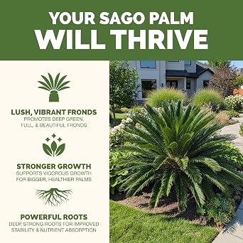 Sago Palm Fertilizer Liquid Plant Food for Rich Green Fronds, 8 oz