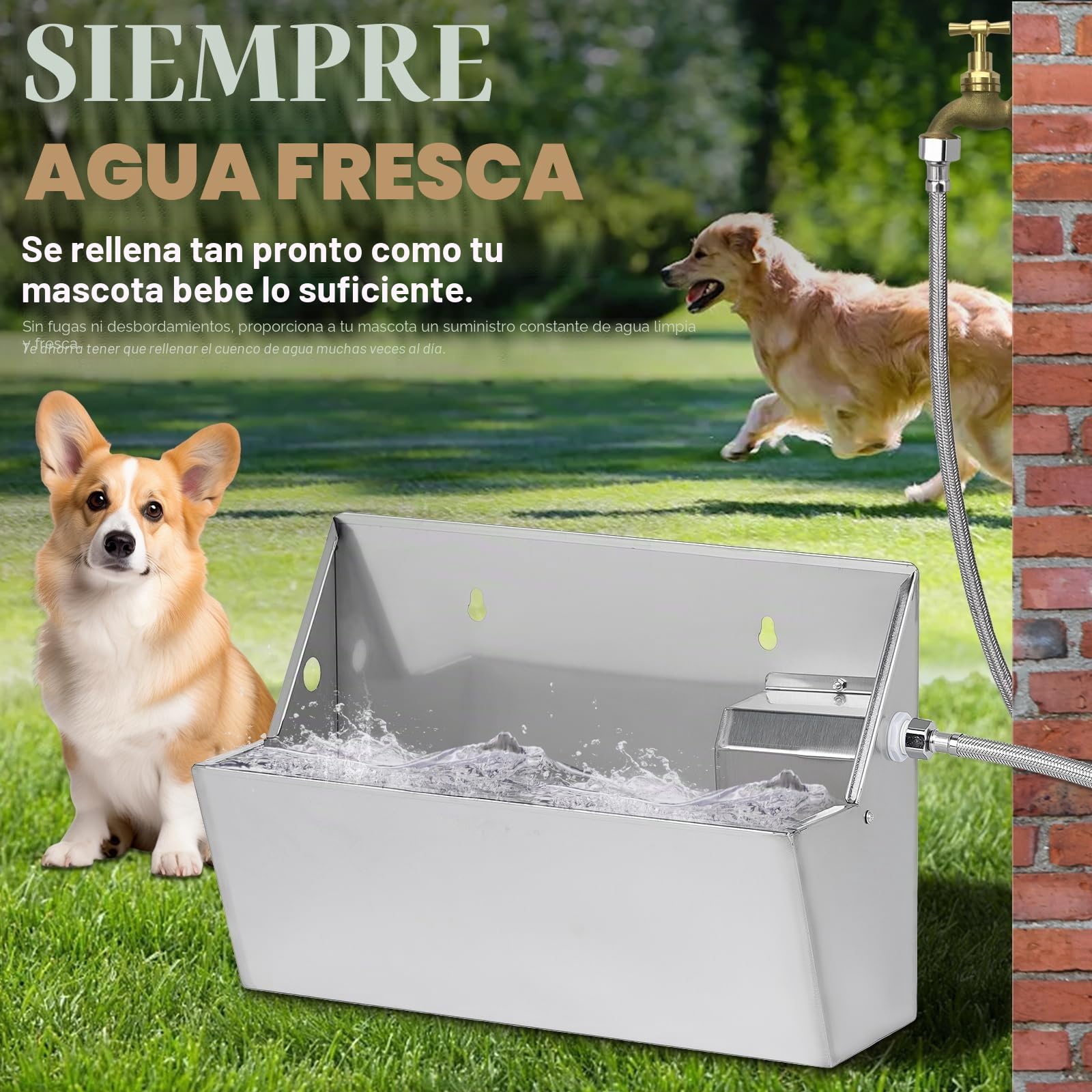 Dispensador automático de agua para perros de 7 l, bebedero de agua para exteriores, acero inoxidable 304, llenado automático para mascotas