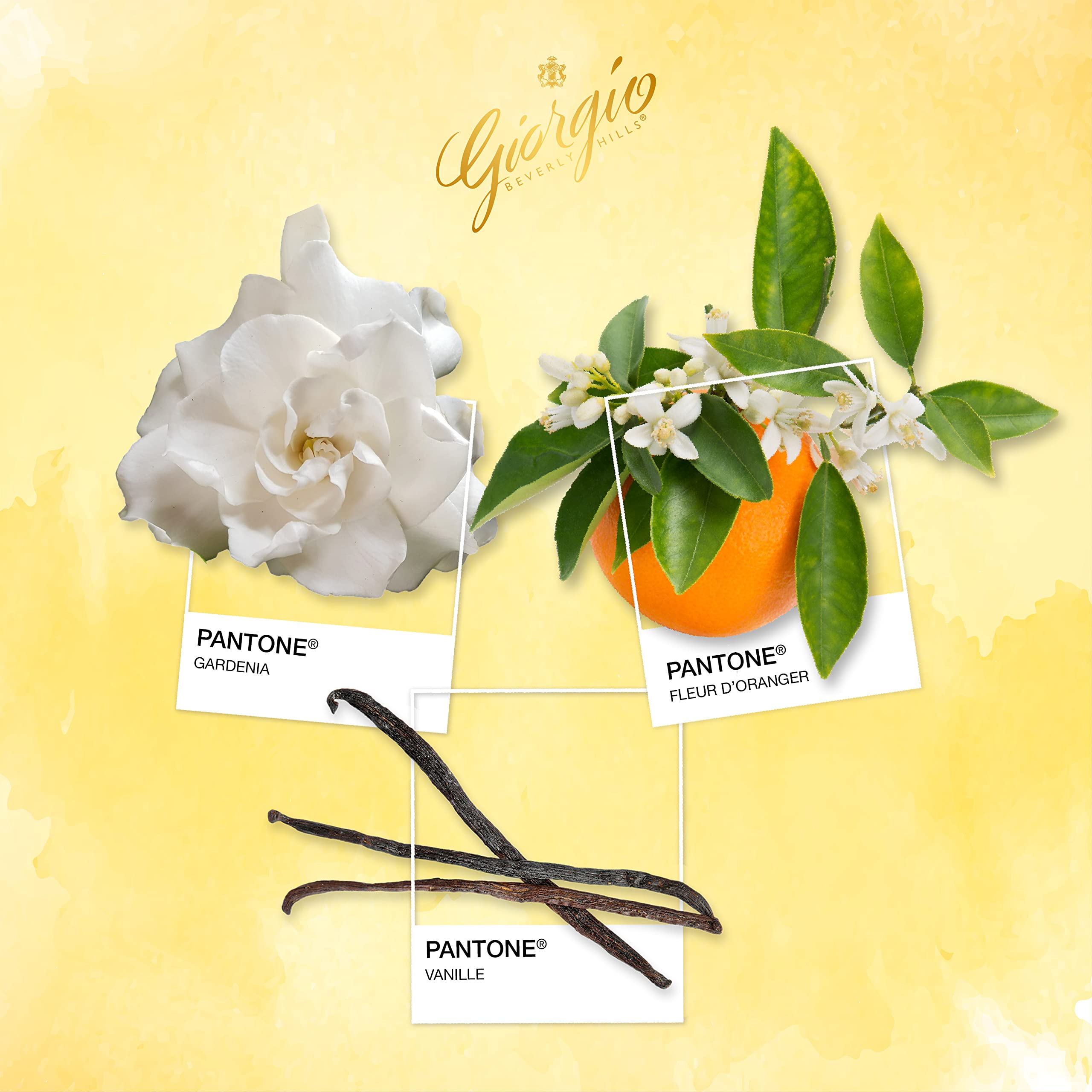 Giorgio Beverly Hills, Coffret Parfum Duo, Eau de Toilette pour Femme (90 ml) et Lotion Parfumée pour le Corps (50 ml), Senteur Florale, Poudrée et Intense