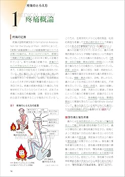 疼痛リハビリテーション−病態メカニズム・モデルに基づく評価・治療
