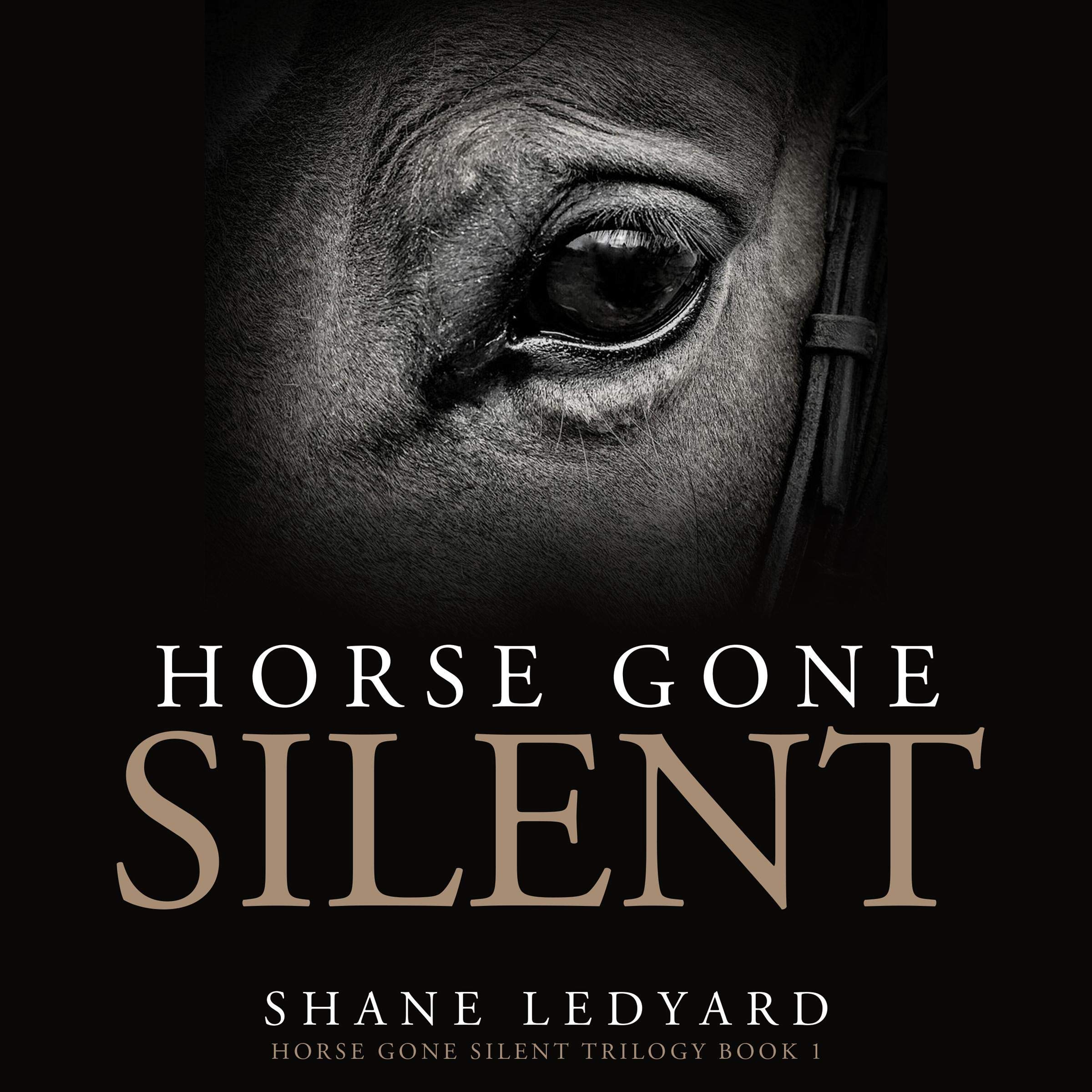 Cover art for Horse Gone Silent