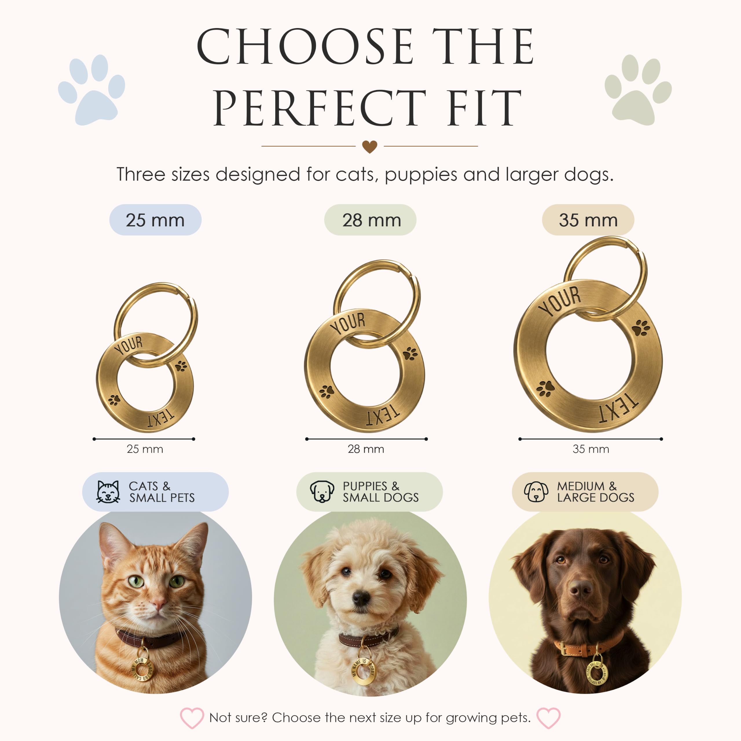 Médaille personnalisée pour animaux de compagnie – Bague d'identification gravée profonde en laiton massif (35 mm, taille M) – Médaille nom durable pour collier de chien ou chat – Fabriqué