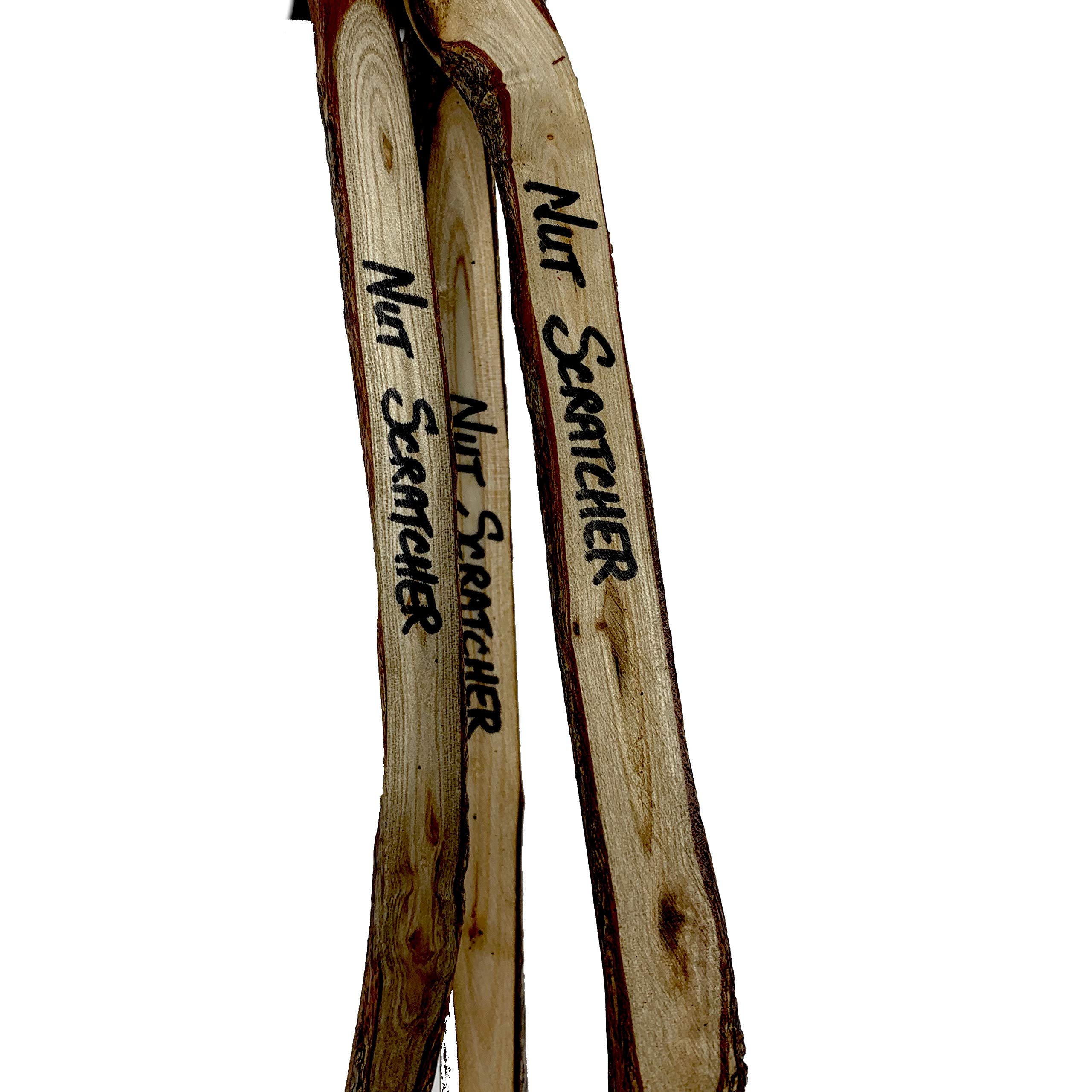 Amazon.com: Nut Scratcher, Handmade Wooden Perfect Novelty Gift Item :  Health & Household