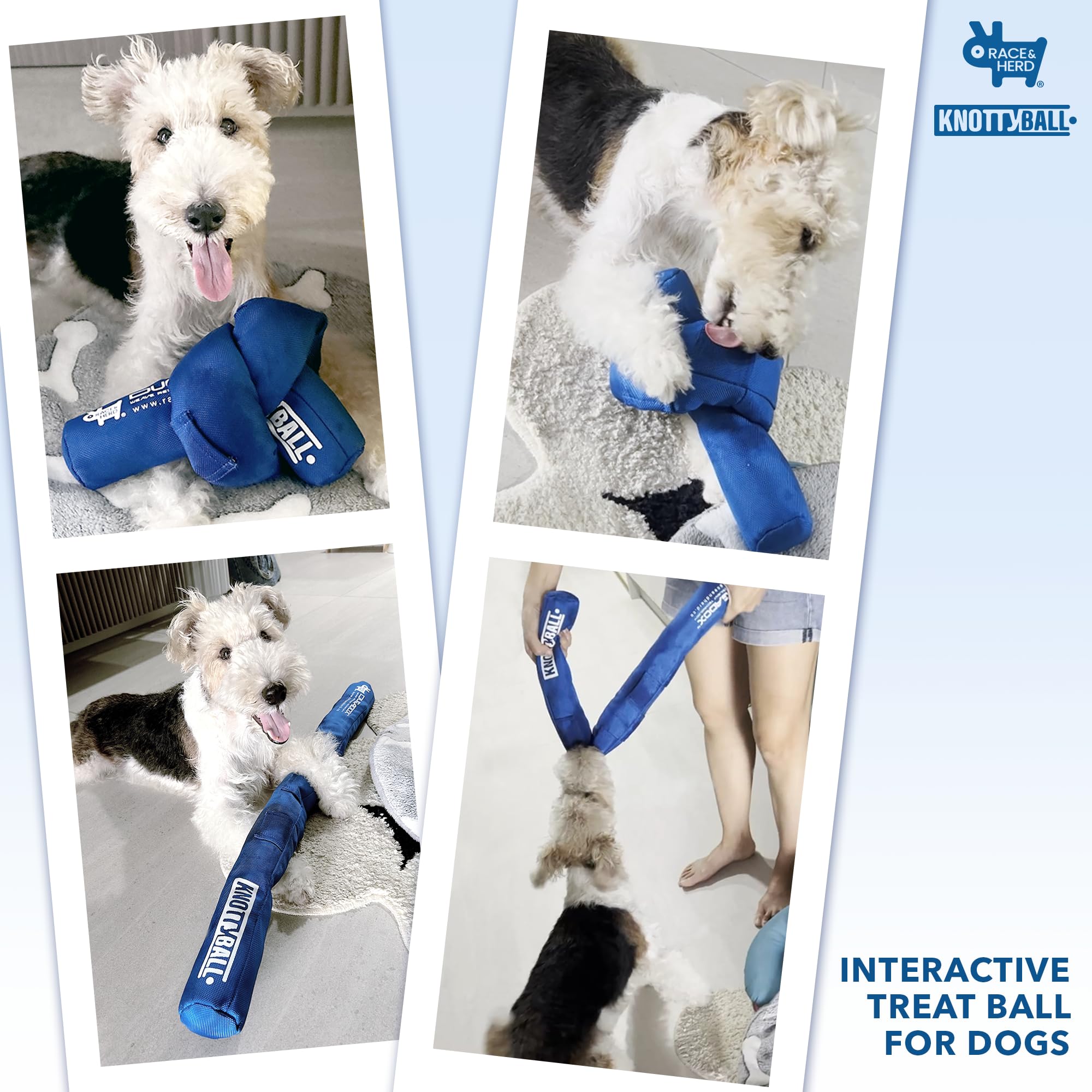 KnottyBall Hundespielzeug, interaktiver Schnüffelball und Puzzle-Spielzeug für Hunde jeder Größe, Schnüffelball, fördert natürliche Futtersuchfähigkeiten, langsames Füttern von Hunden, Anreicherung