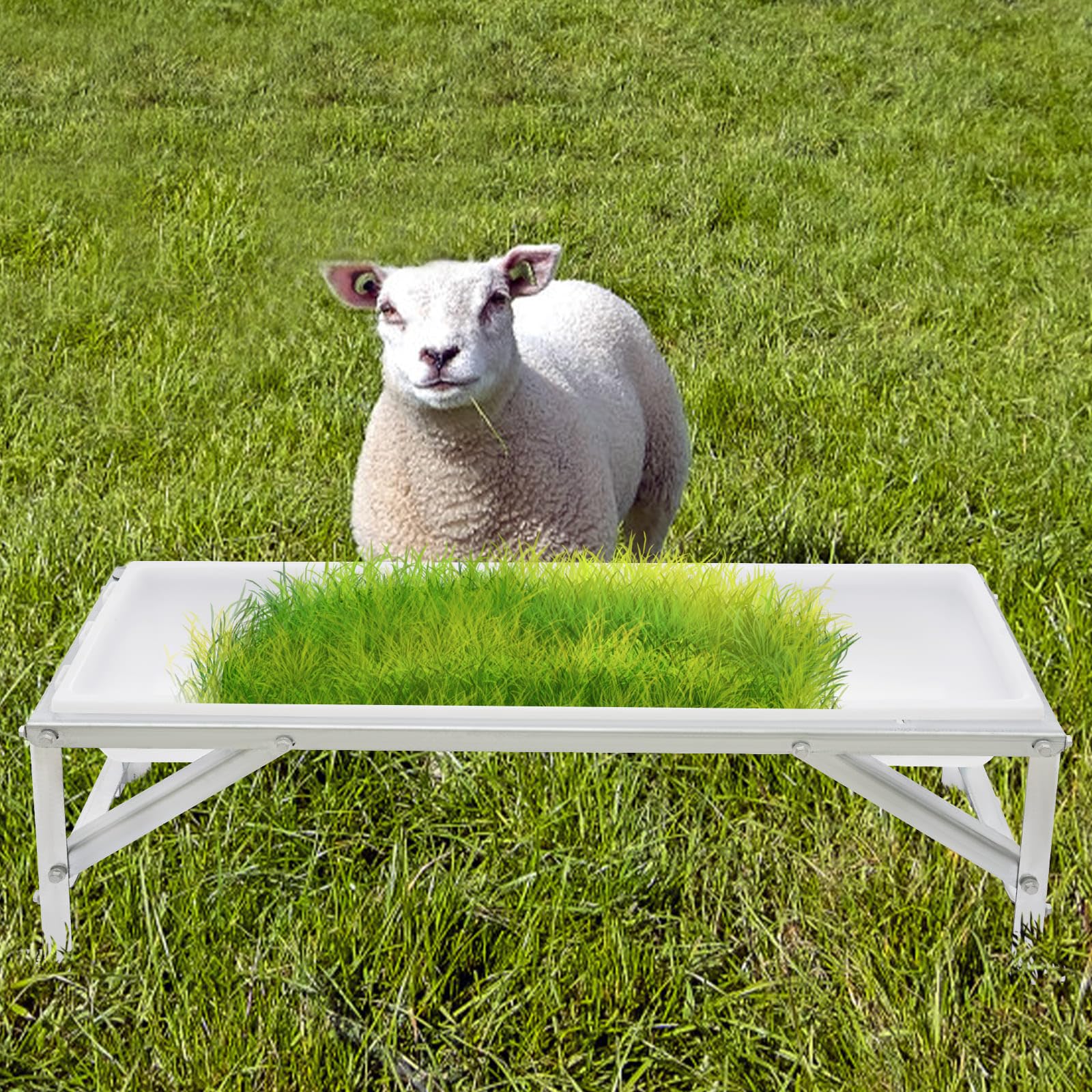 Comedero para Ganado con Soporte metálico de 99 cm de Largo y Gran Capacidad para corderos, Potros, terneros, ovejas, Caballos, Alpacas y Cabras en la Granja (Plateado + Blanco).