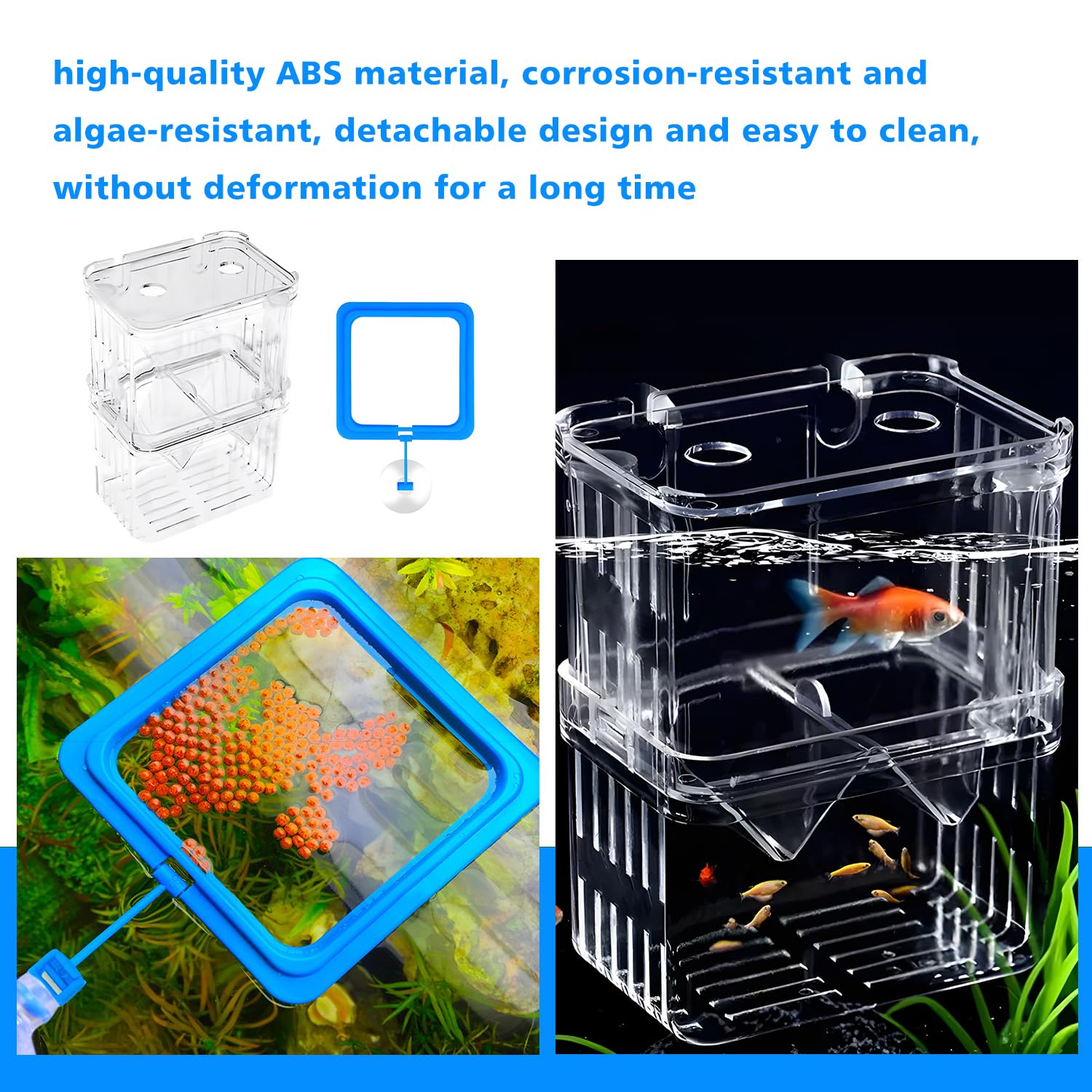 Scatola di allevamento per Guppy e specie tropicali, in plastica trasparente con serbatoio di isolamento, incubatrice galleggiante e divisore