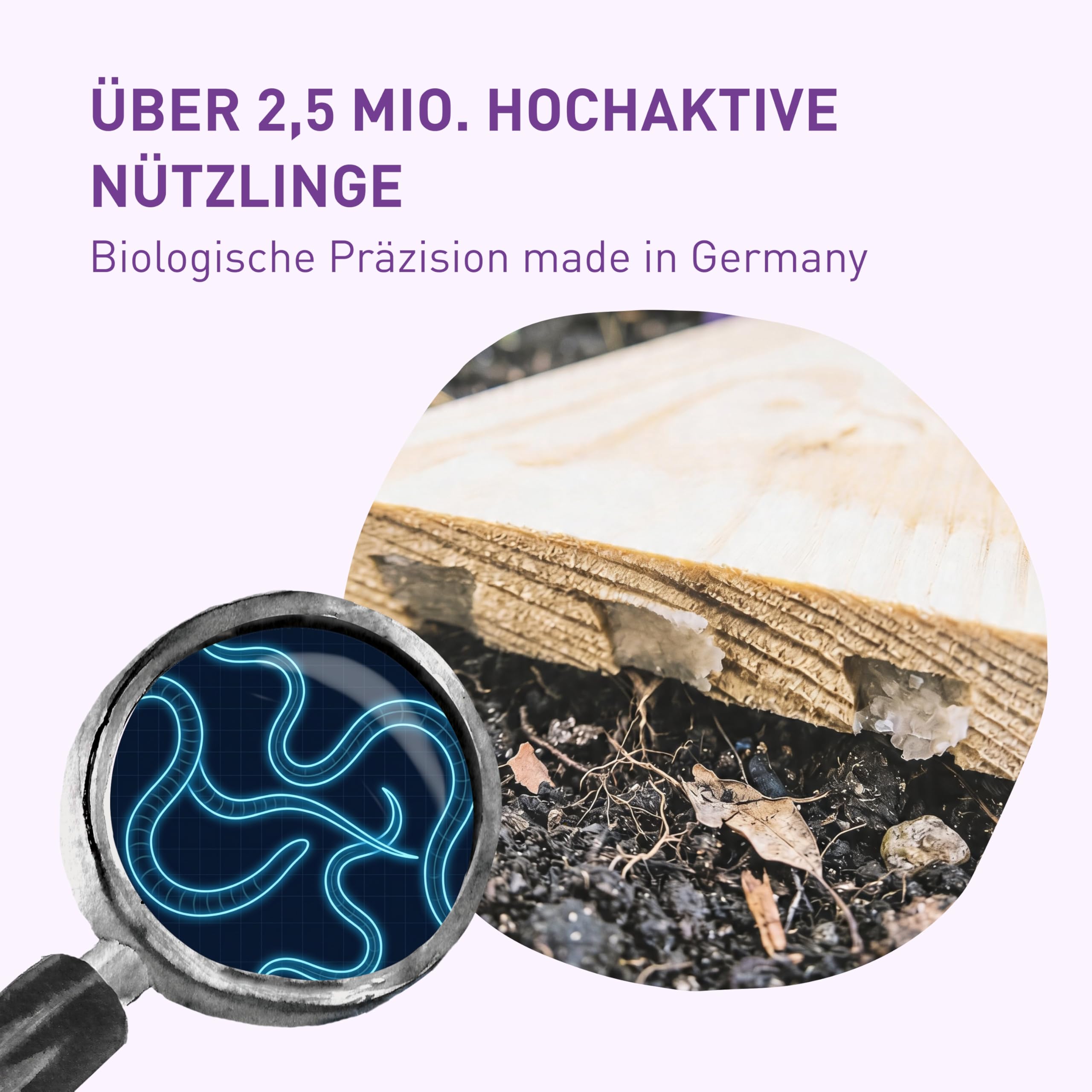 Plantura Dickmaulrüssler-Stopp, biologische Bekämpfung von Dickmaulrüssler-Käfern, mit hochaktivem Nematoden-Gel, sofort einsatzbereit, 100% natürlich, 1 Falle für 10 m² / 5 m Hecke
