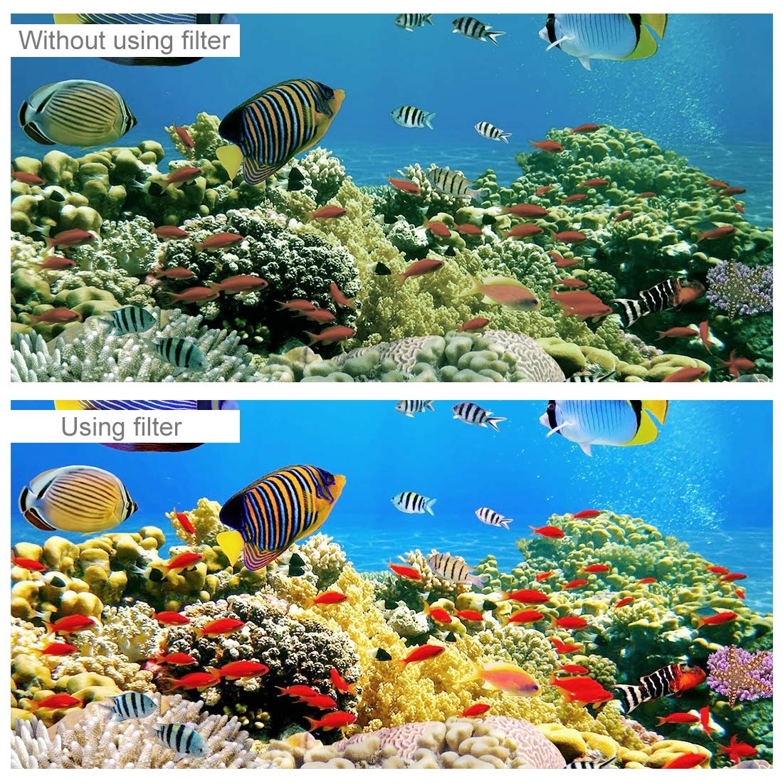 PULUZ Filtres De Plongée Pour GoPro Hero 8 - Noir - Boîtier étanche - Filtre De Couleur Pour Caméra D'action GoPro Hero 8 - Rouge