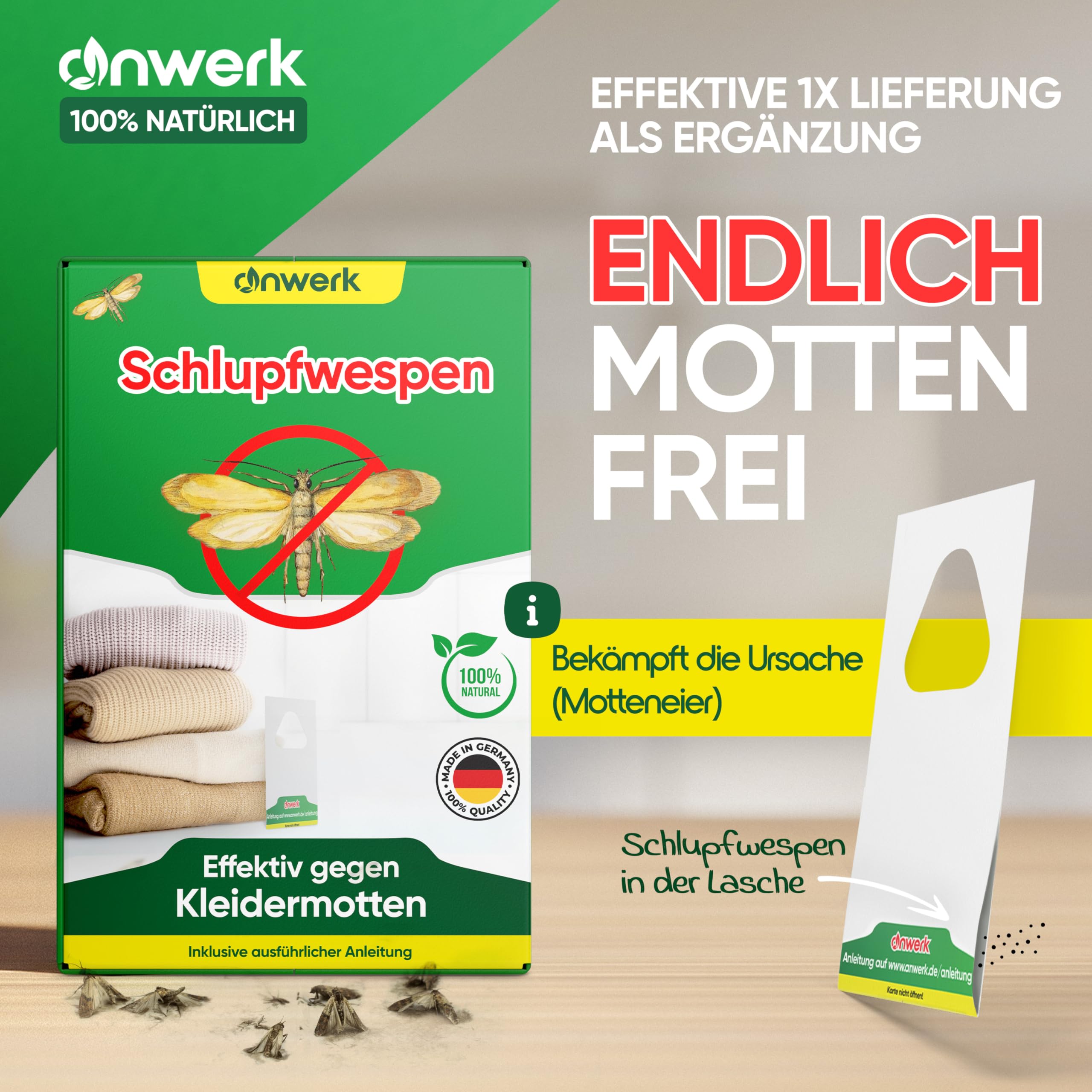 anwerk® Schlupfwespen gegen Kleidermotten - 12 Karten à 1 Lieferungen - Effektiv Kleider Motten bekämpfen - Alternative zur Mottenfalle, Mottenspray, Pheromonfalle