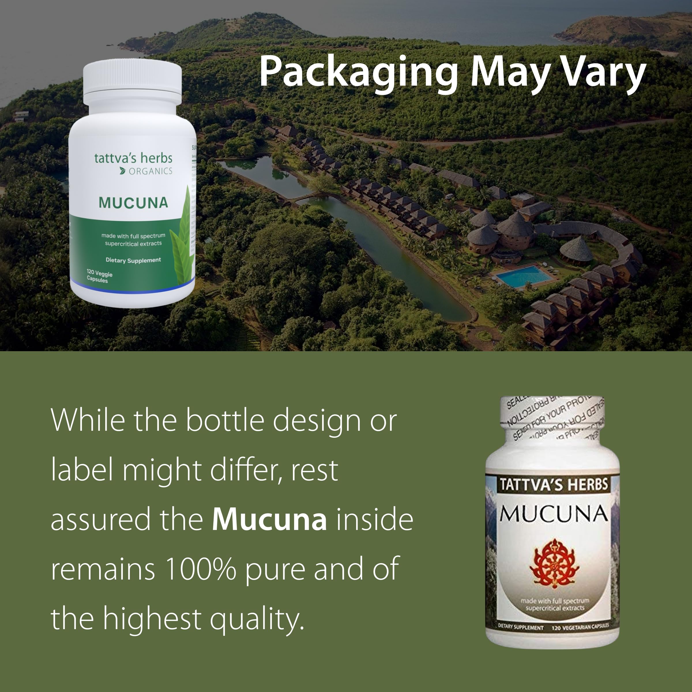 Tattva's Herbs CO2 Holistic Mucuna Pruriens Extract 500 mg 240 ct 2-Pack — Amazon image 2