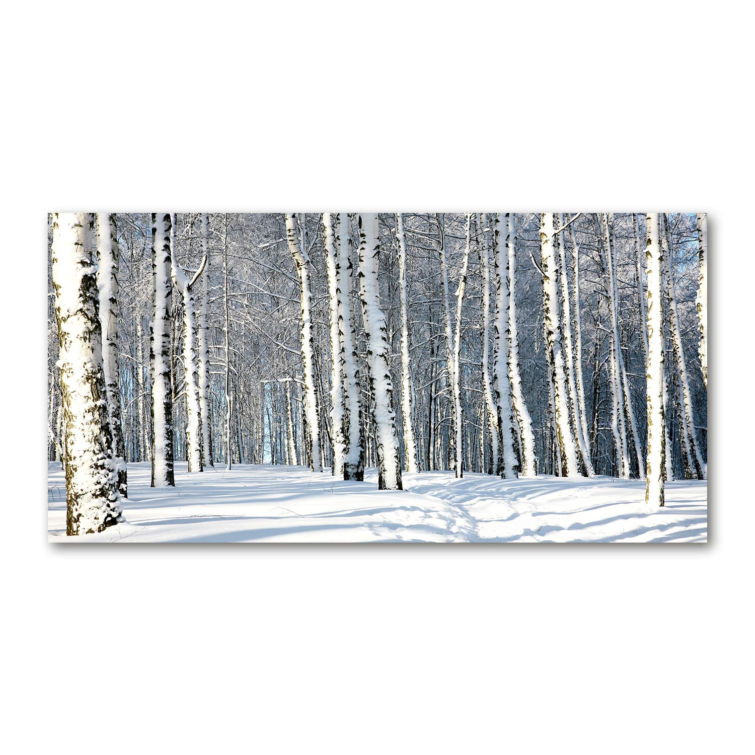 Image panorama en verre fleurs et plantes tableau blanc forêt d'hiver décoration cuisine salon