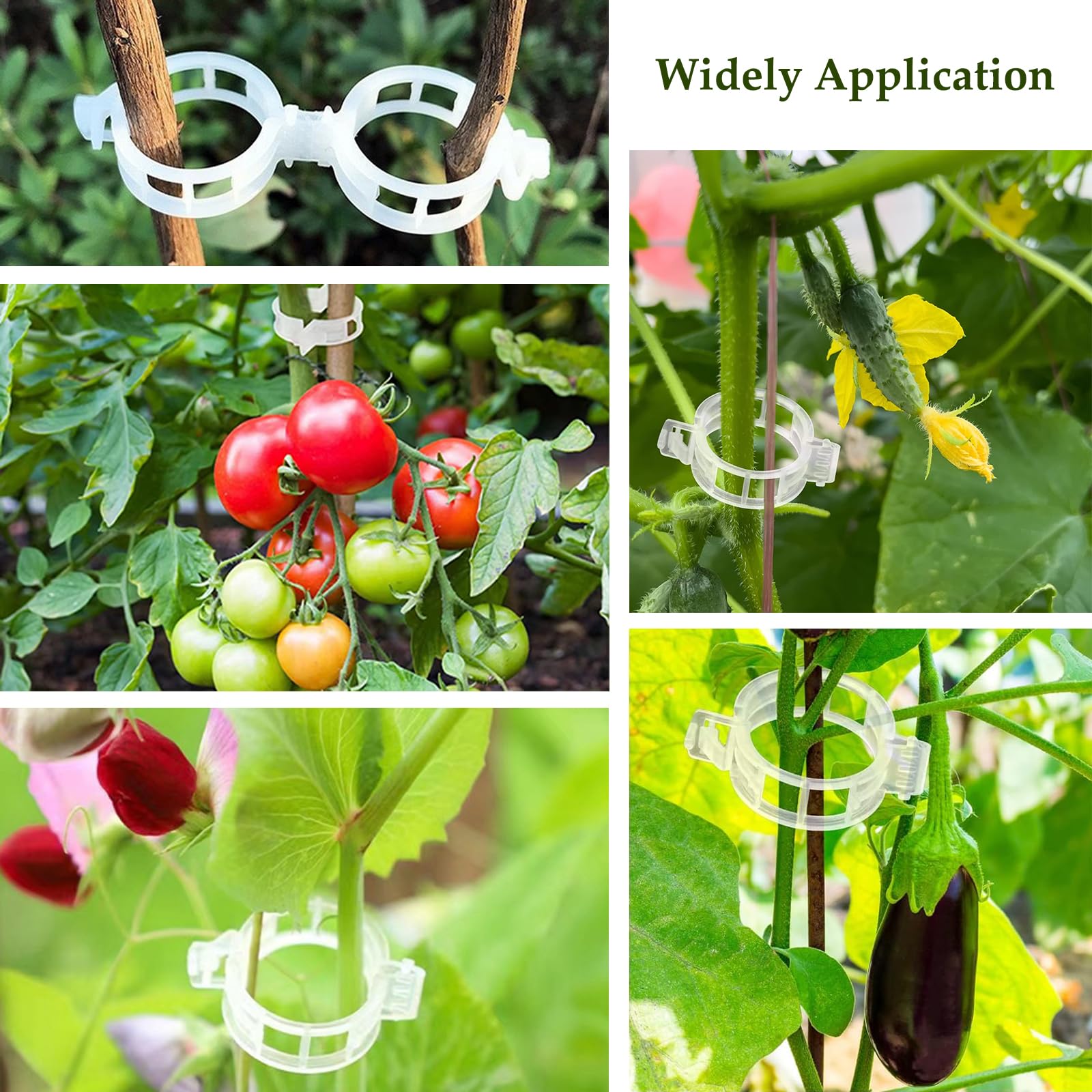 Clip Supporto Per Piante Rampicanti – 50 Pezzi In Plastica PP – Riutilizzabili Per Pomodori, Uva, Viti, Ortaggi