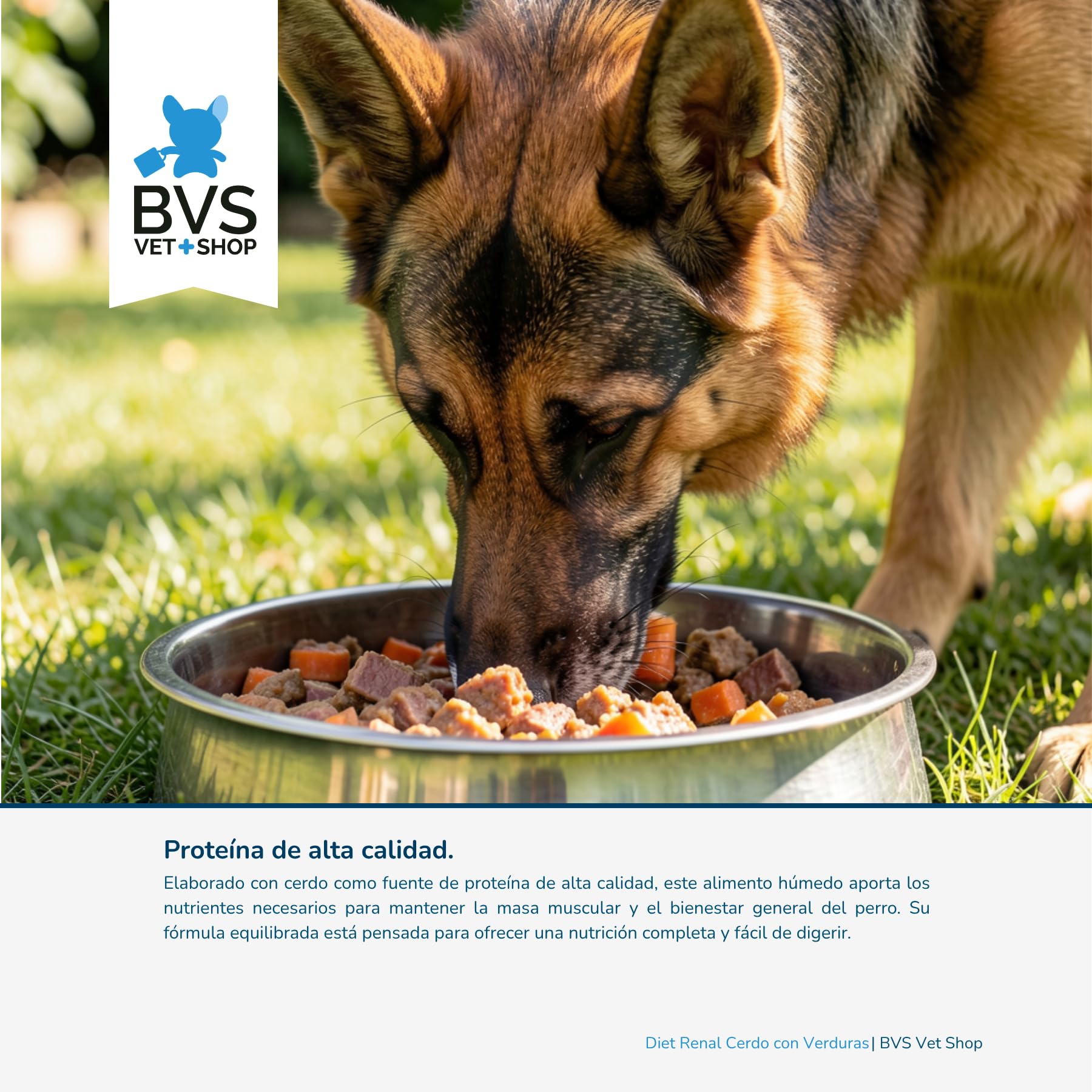 hundekissen mit rand Hundebett Ema | Extra kuschelig und schtzend fr Deinen Vierbeiner  YUNA