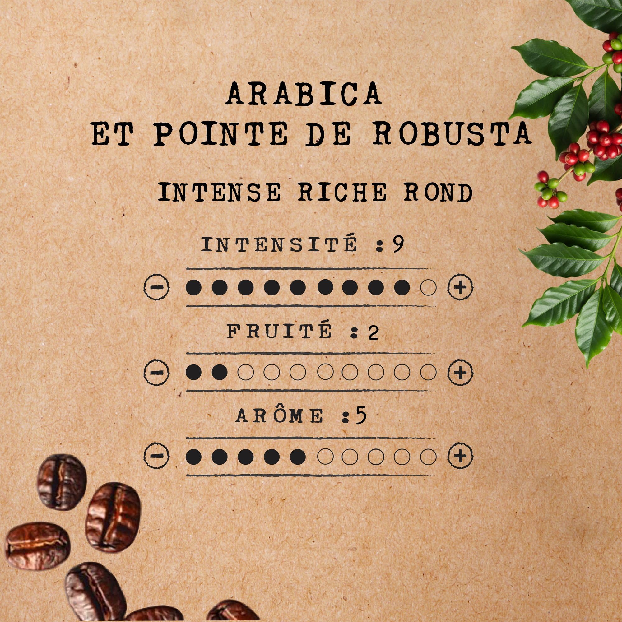 Cafés Méo - Dosettes Café Espresso - 648 Capsules - Compatible avec Senseo - Intensité 9/10 - Arômes Authentiques, Aromatique, Crème Généreuse - Lot de 12x54