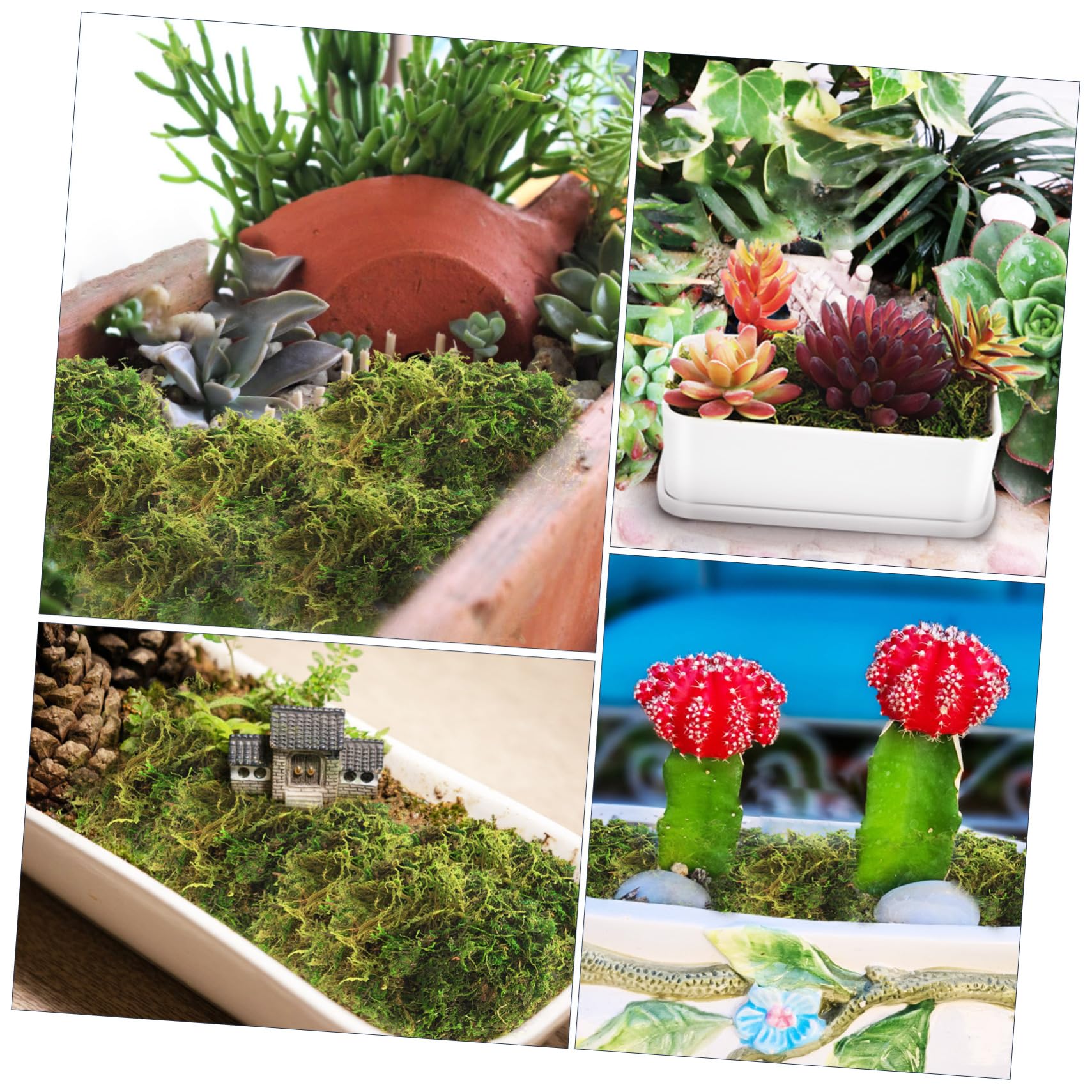 MAGICLULU 5 Piezas Musgo Teñido De Verde Musgo De Bricolaje Falso Verde Artificial Plantas Artificiales Preservado De Jardín De Hadas Plantas Falsas Helecho Flor Preservada