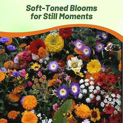 Miniatura 6 de Outsidepride Mezcla de semillas de jardín de flores japonesas - 10000 semillas