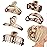 5PCS Claw Hair Clips for Women - Matte Amber Brown Non-Slip Medium Large Clamps for Thin Thick Hair, Multi-Style Fashion Accessories