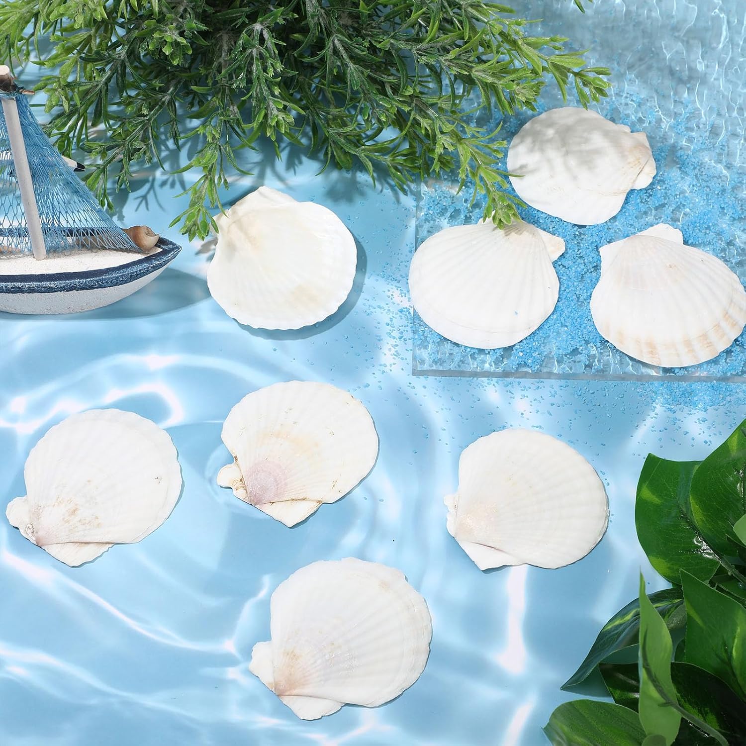 GlikCeil 100 Pcs Sea Shell for Crafting Natural Large Scallop Shells White Oyster Shells Bulk for Decorating DIY Home Beach Wedding Ocean Themed Party Baking Shells for Serving Food (1.97''-2.76'')