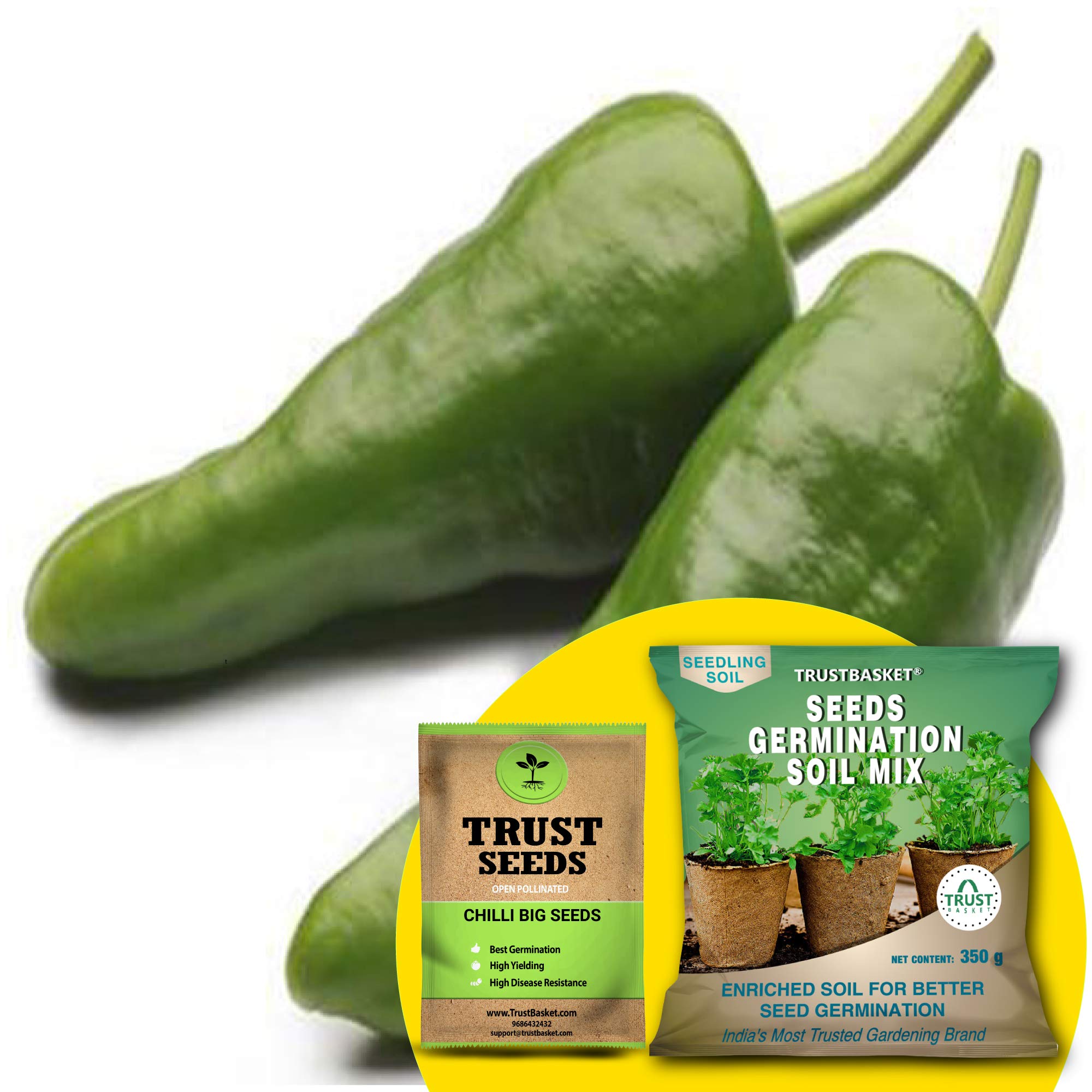 See full amazon price history chart for TrustBasket Chilli Big (OP/Desi) Seeds with Free Germination Potting Soil Mix TrustBasket Chilli Big (OP/Desi) Seeds with Free Germination Potting Soil Mix (B07R67TNR7) Amazon Price History, Amazon Price Tracker