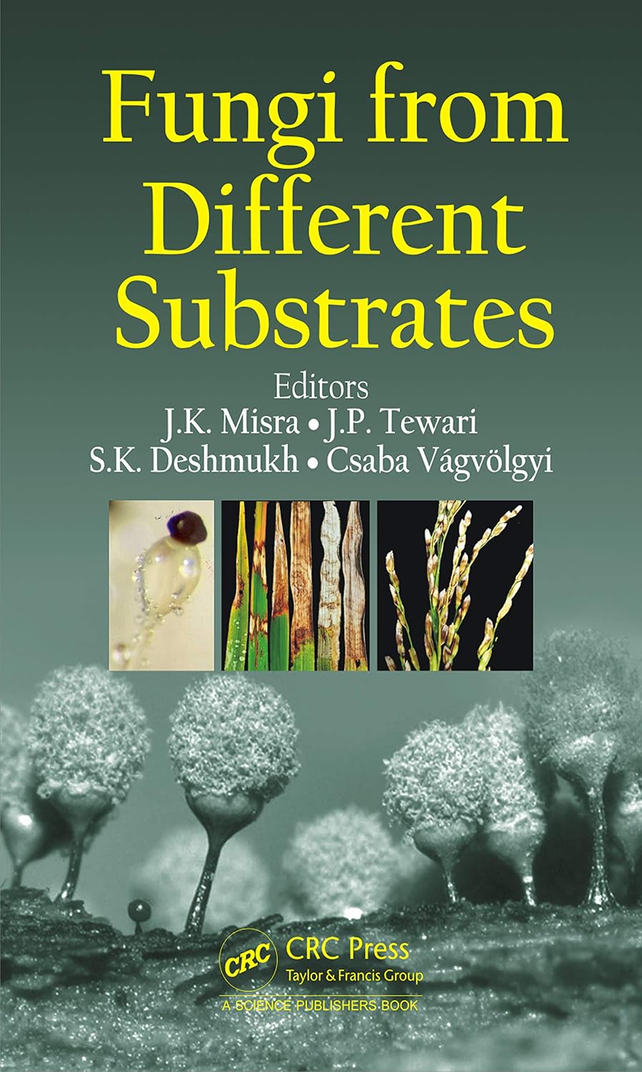 Fungi From Different Substrates (Progress in Mycological Research)